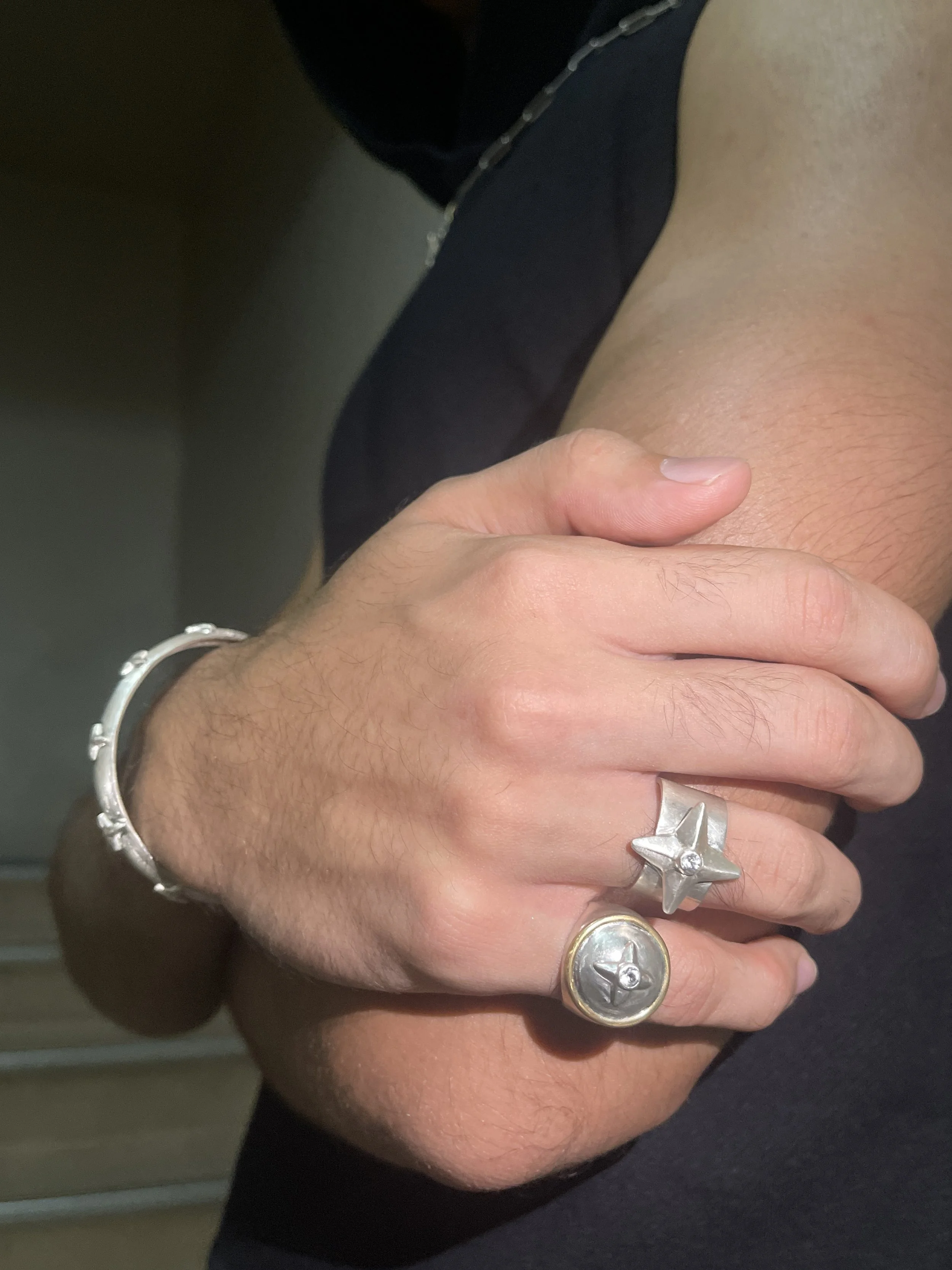 Stellular ring (top) Final Form ring (bottom)