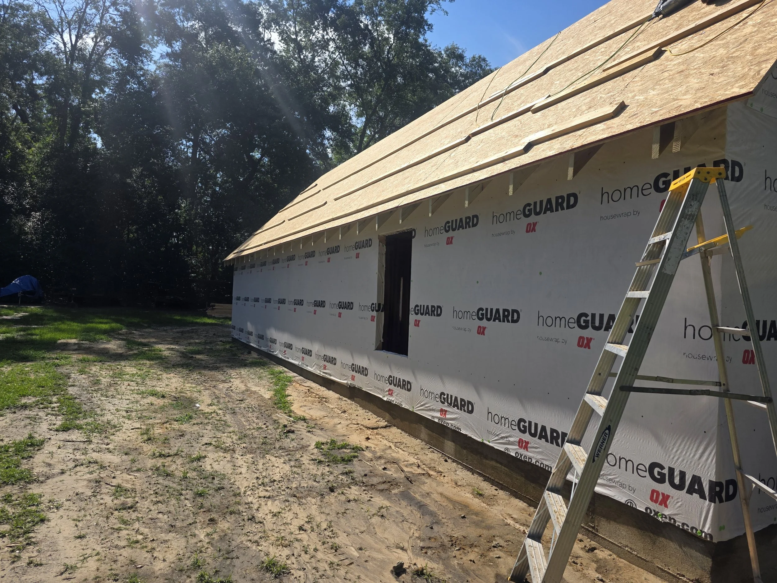 A house under construction with a wooden roof frame and house wrap siding, a ladder leaning against the house, and trees in the background.