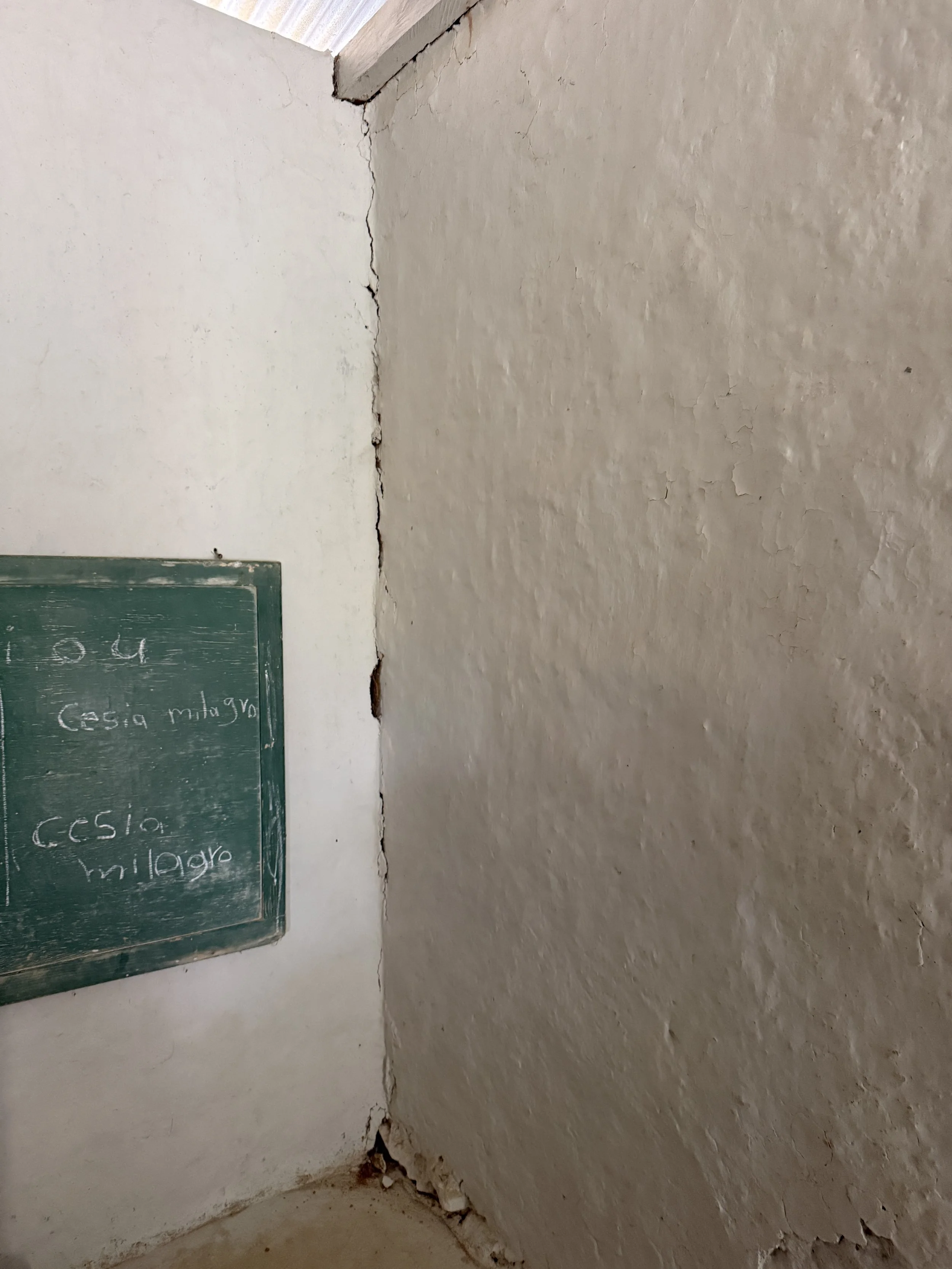 IMG_2217.jpeg
