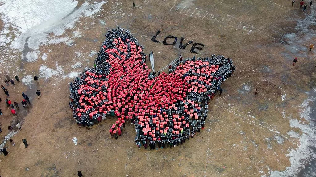 Aerial view of a large butterfly shape formed by hundreds of people standing and holding up colored squares to the sky