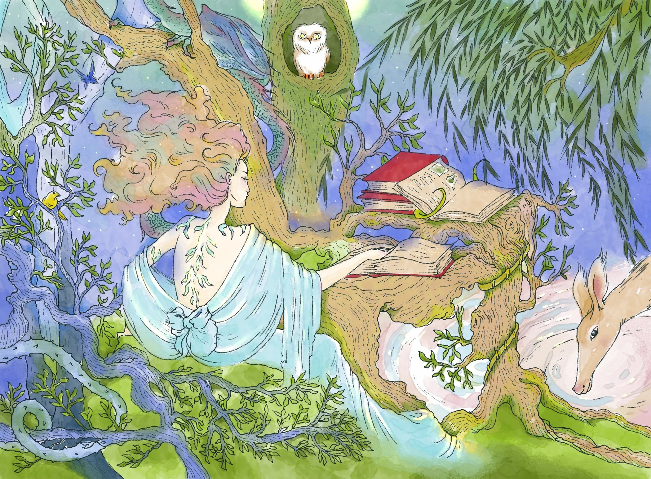 Magic Forest.jpg