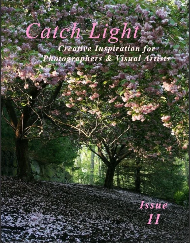 Catch Light Feature_Issue 11.jpeg