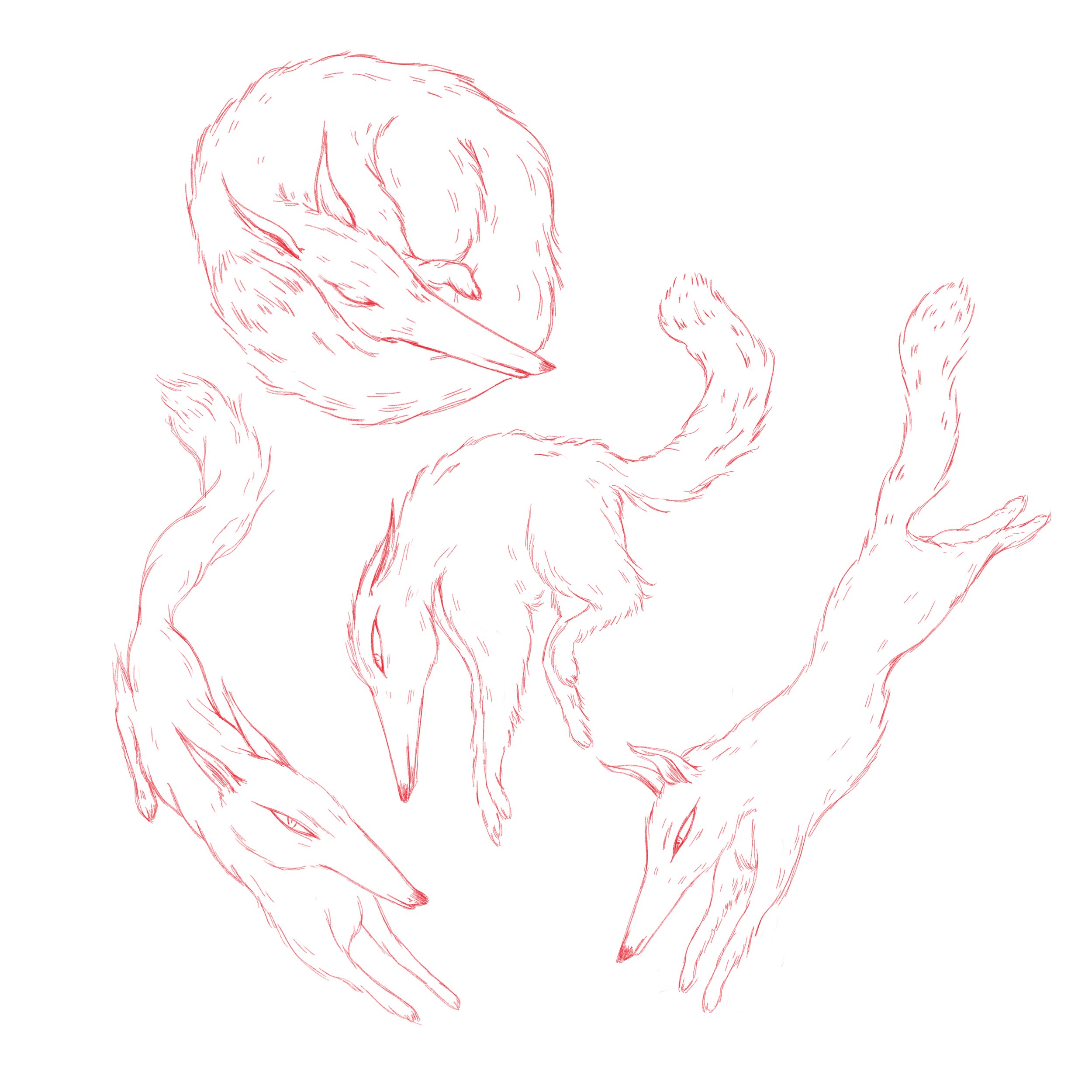 fox study sinlge sticker.jpg