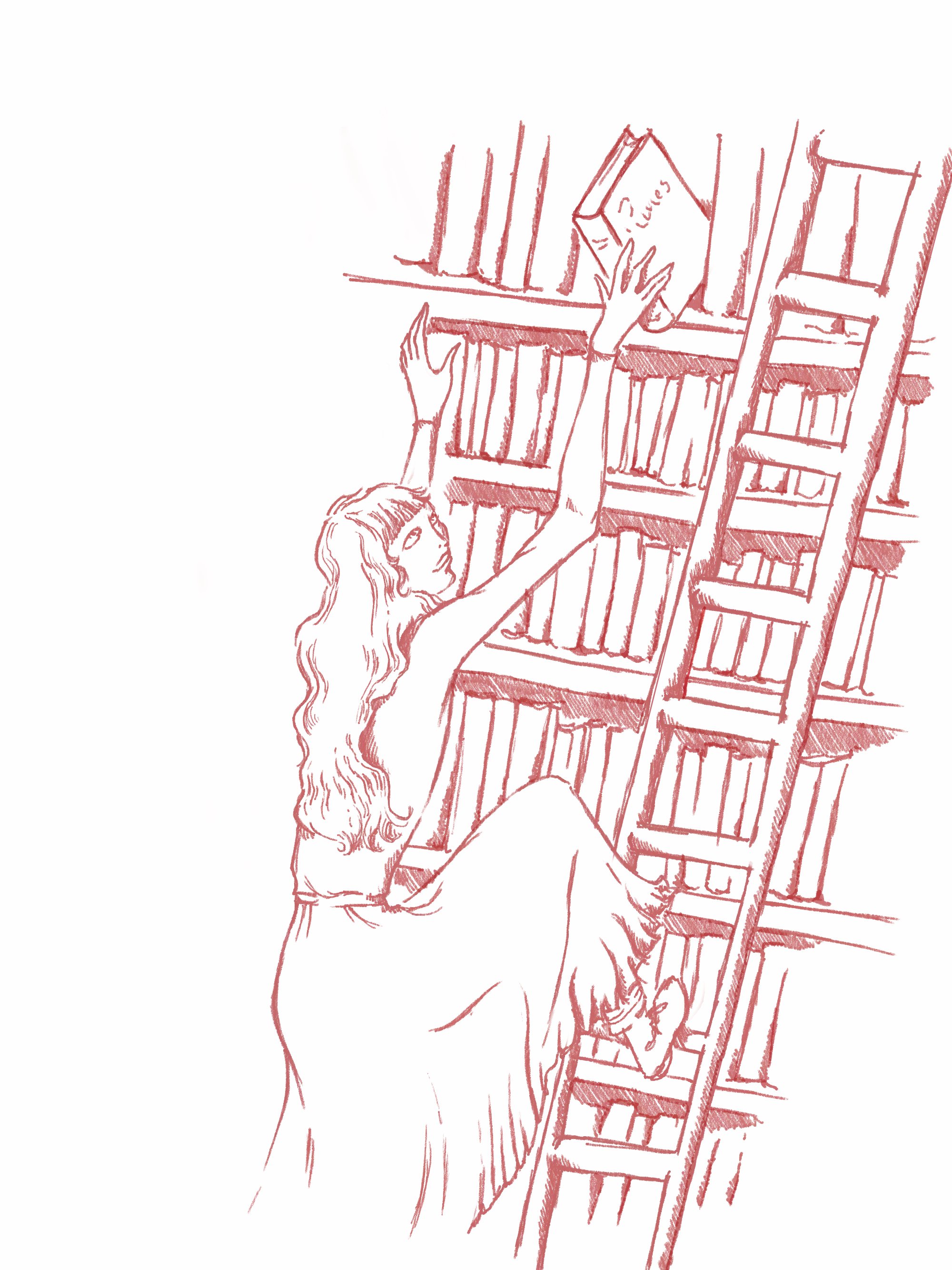 Library.jpg