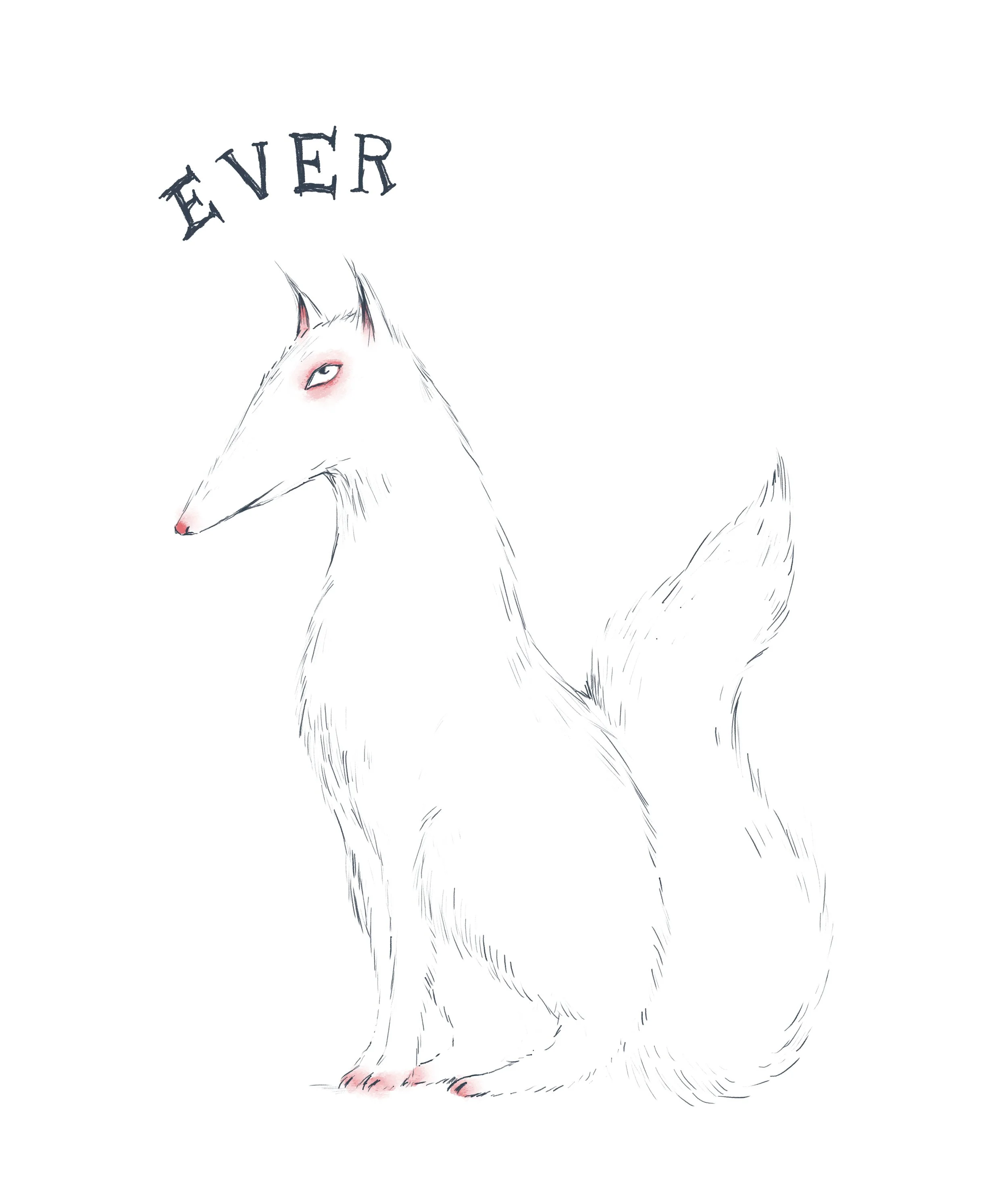 Starbird_Ever.jpg