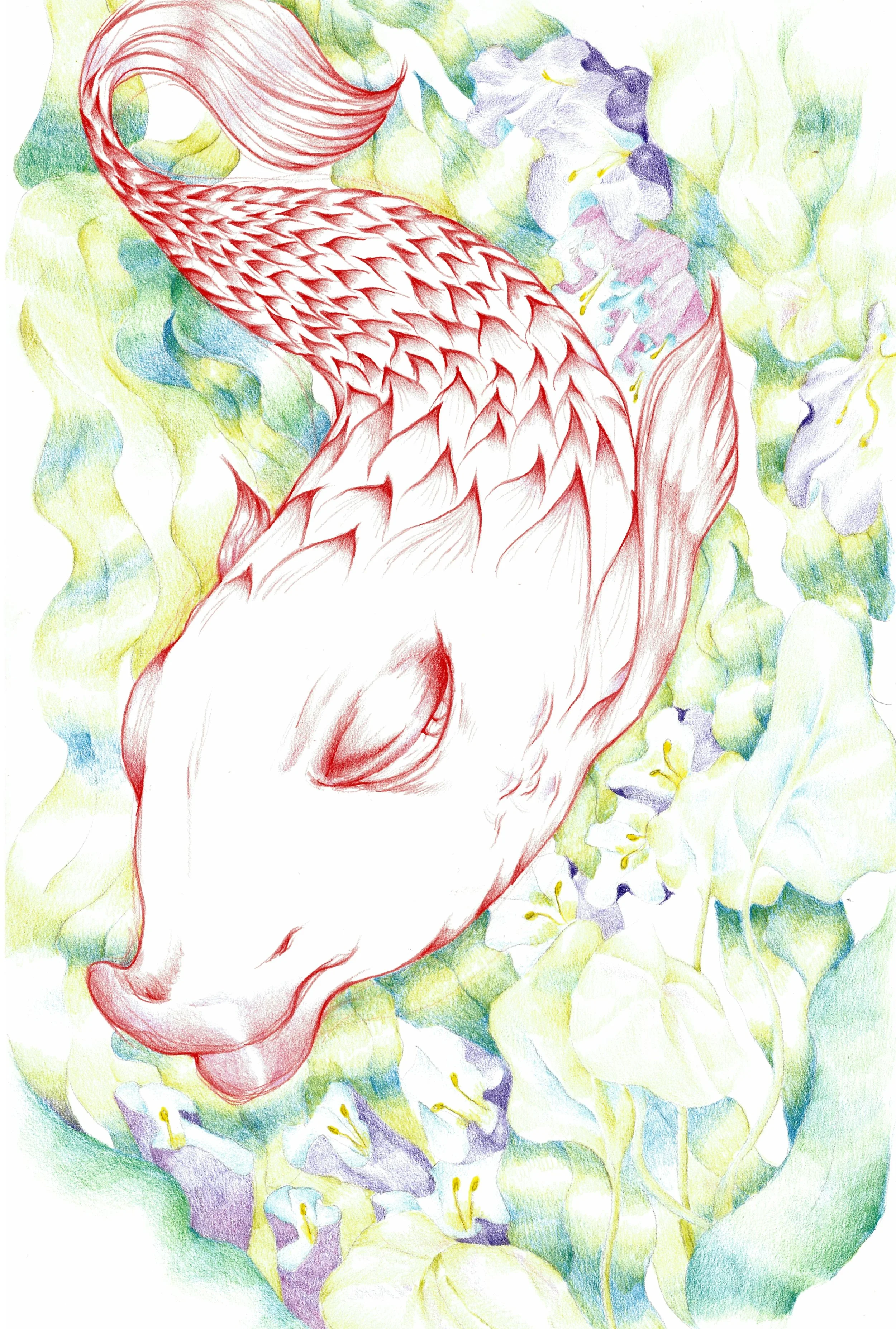 Fish Seaweed_3.jpg