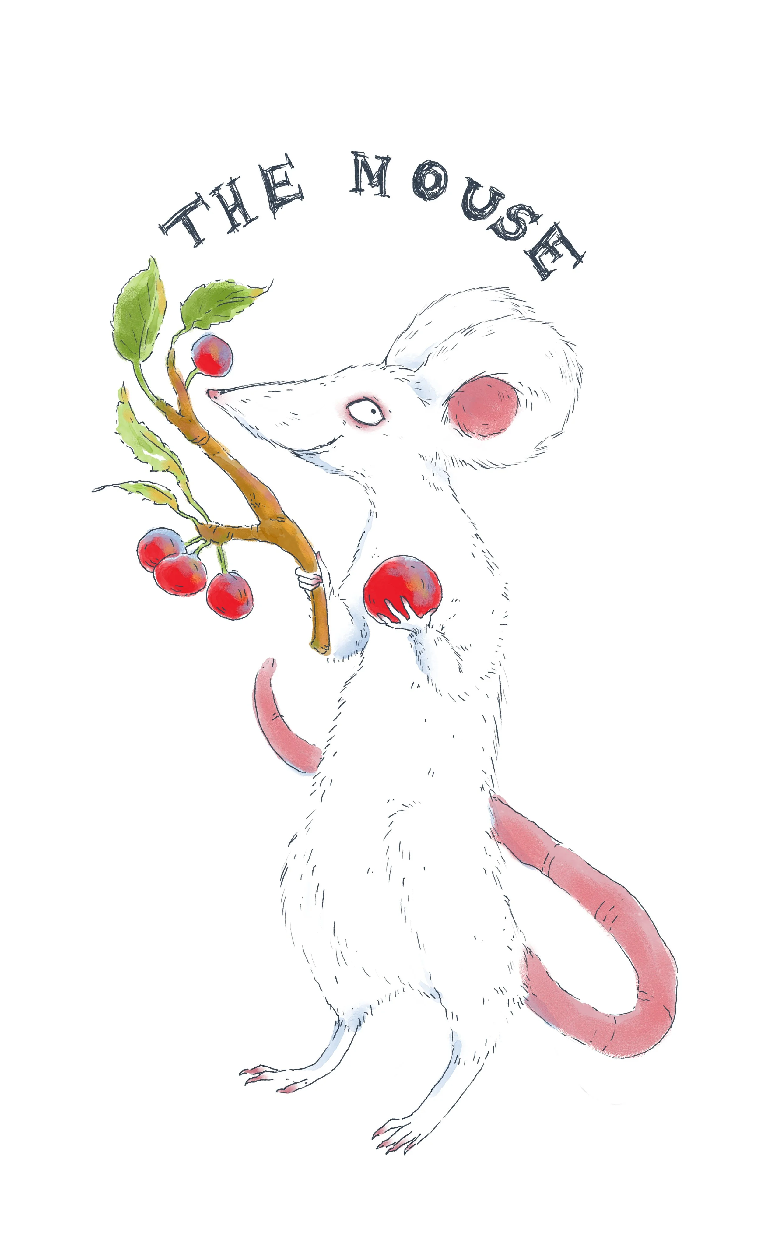 Starbird_The Mouse.jpg