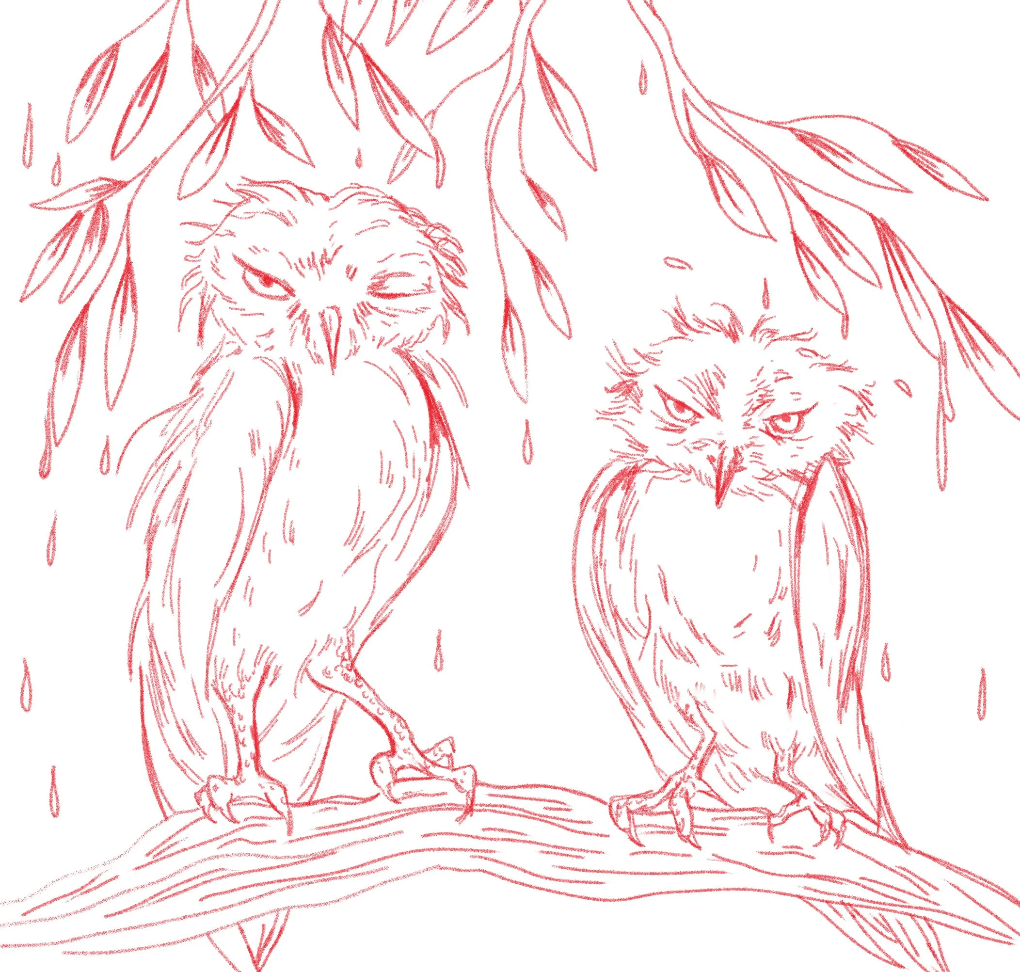 OWLS.jpg
