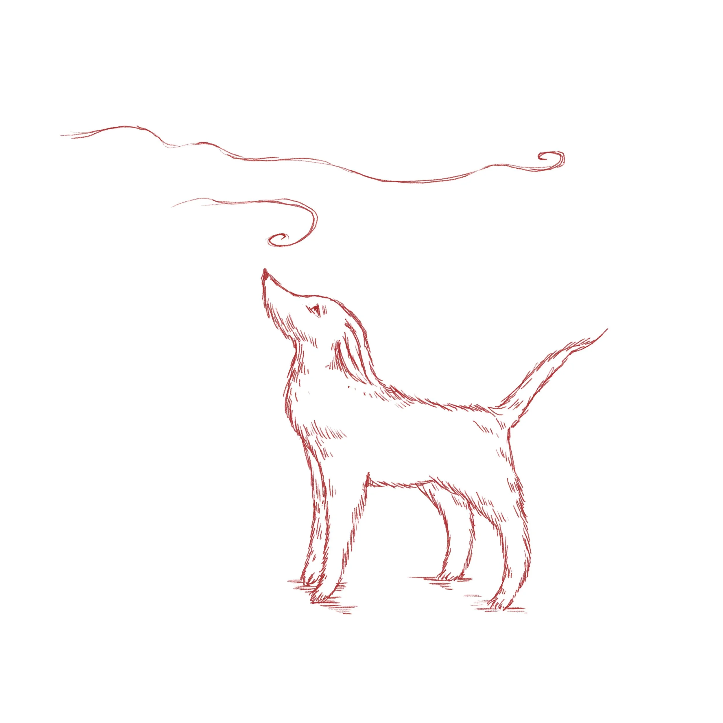 Dont Chase_Smell.jpg