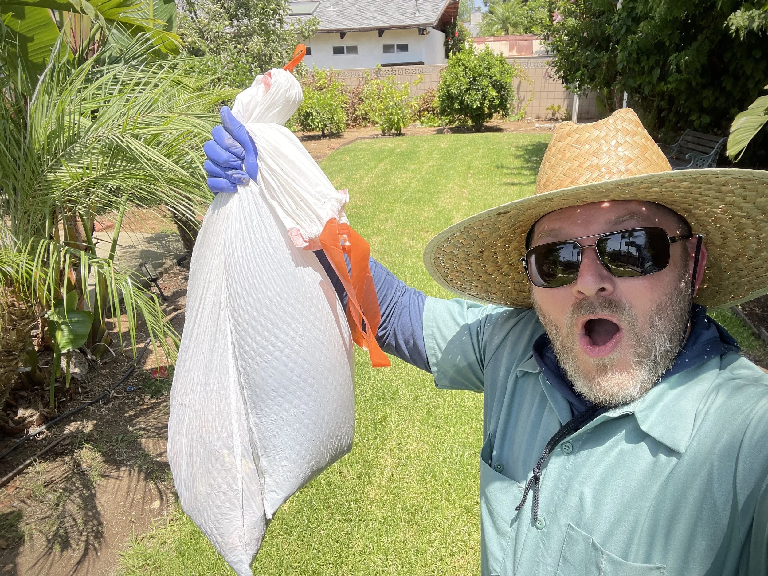 Pet Waste Removal in the Conejo Valley and Surrounding Areas
