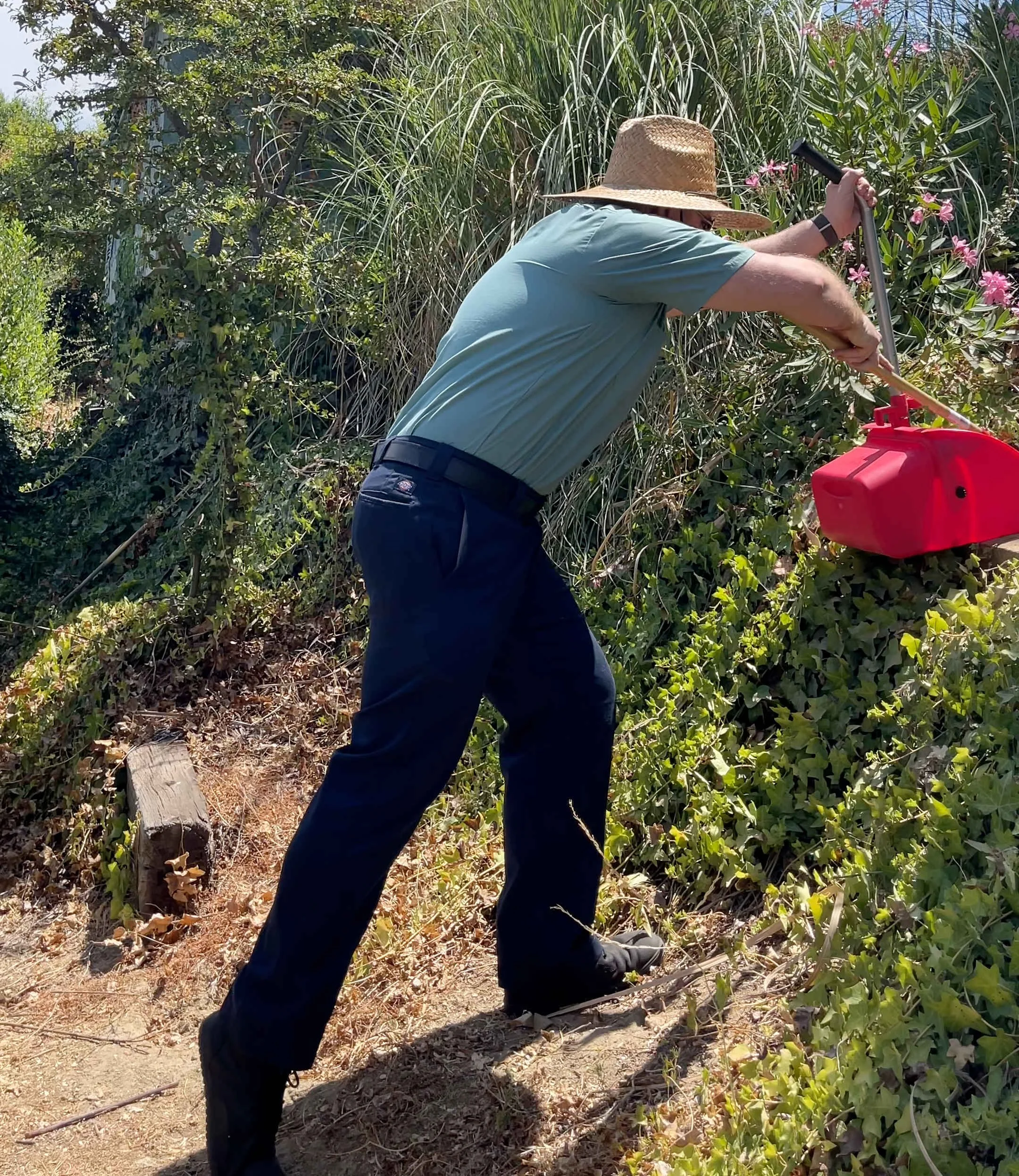 Dog Poop Cleanup in Malibu and Topanga Canyon