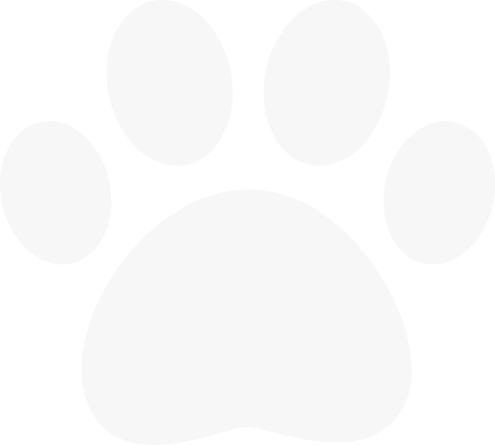 CaliPet paw print icon representing pet-friendly service.
