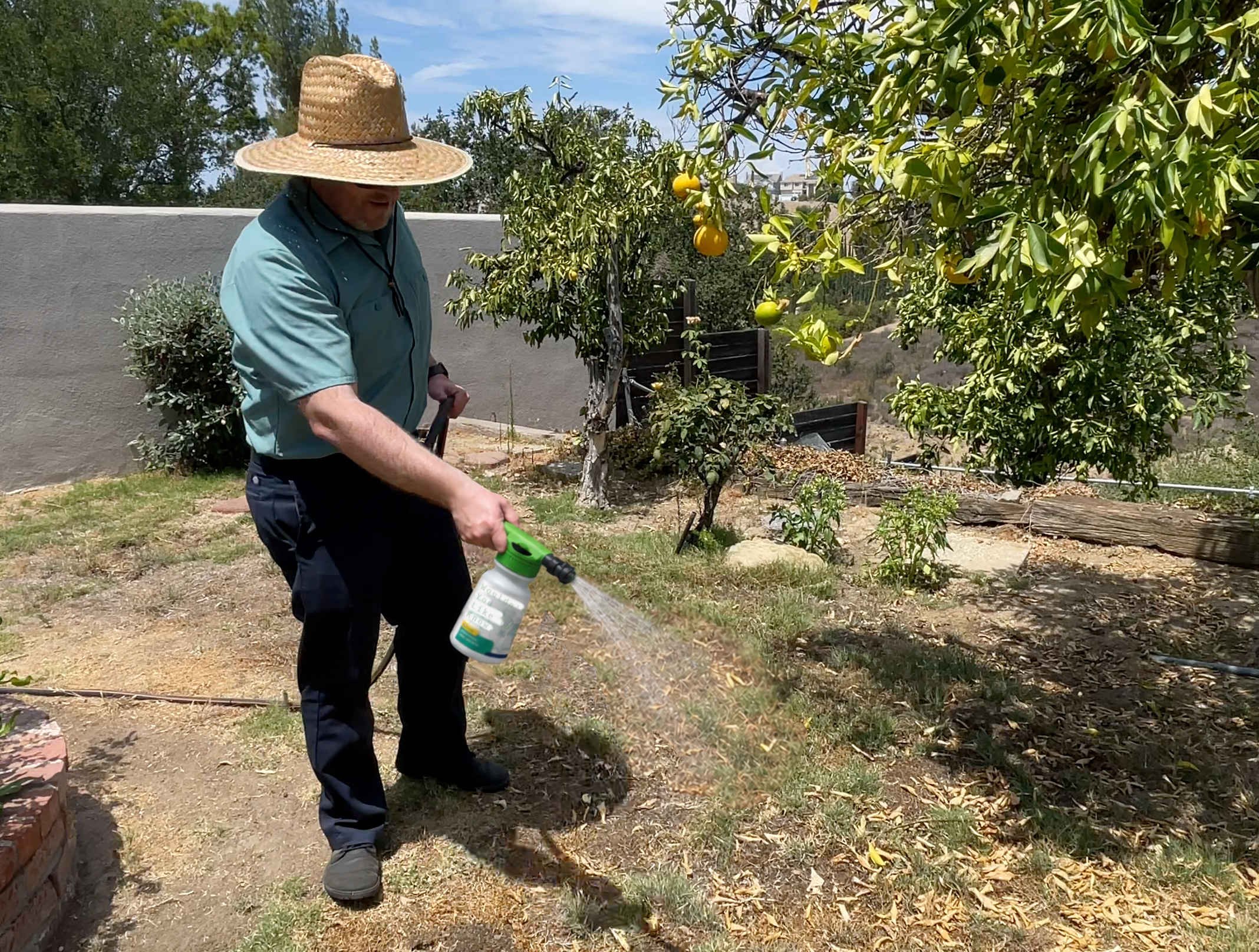 CaliPet applying an organic deodorizing spray to a residential lawn in Newbury Park.