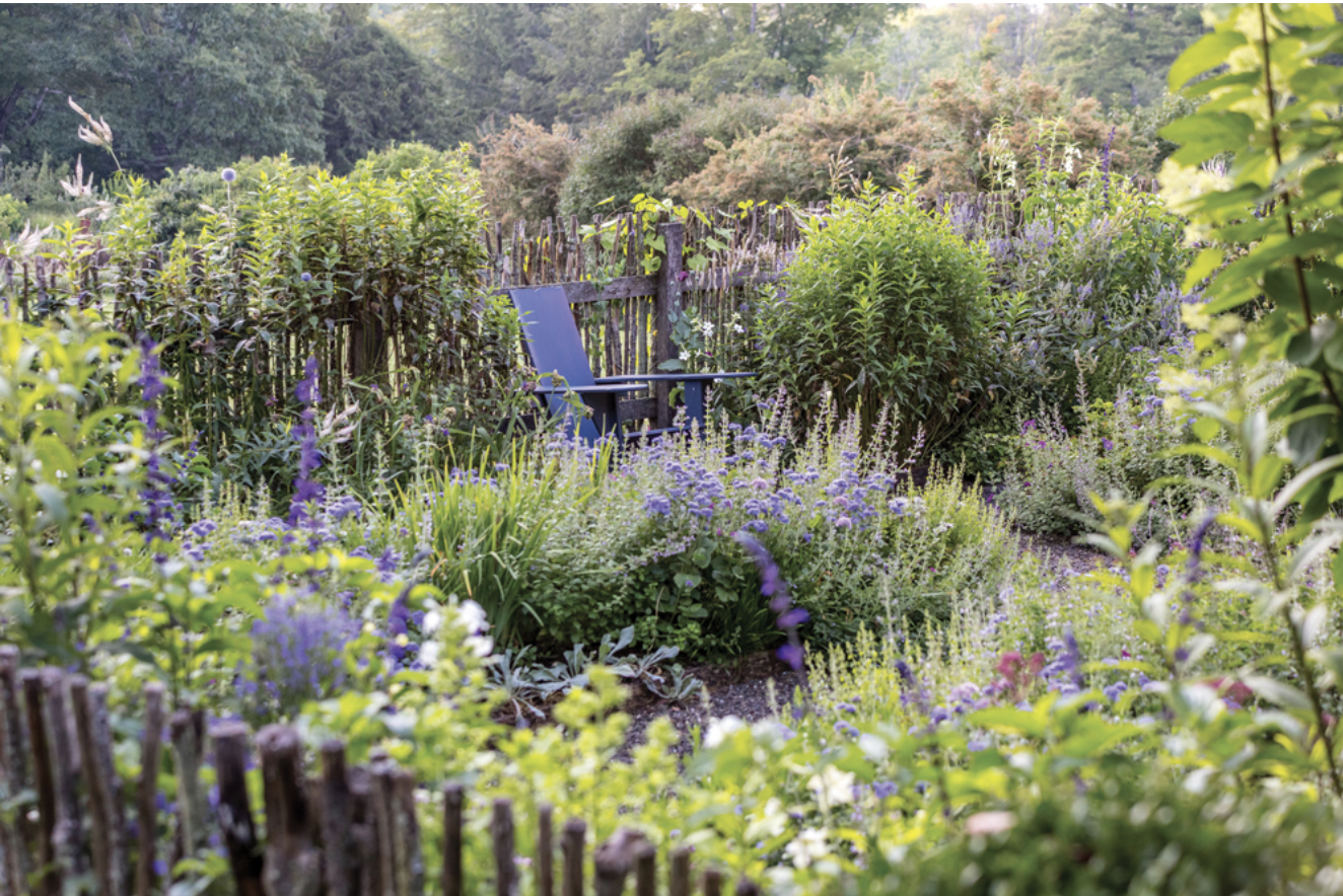 Boxes of Late Summer Light: A Master Gardener’s High Catskills Creation