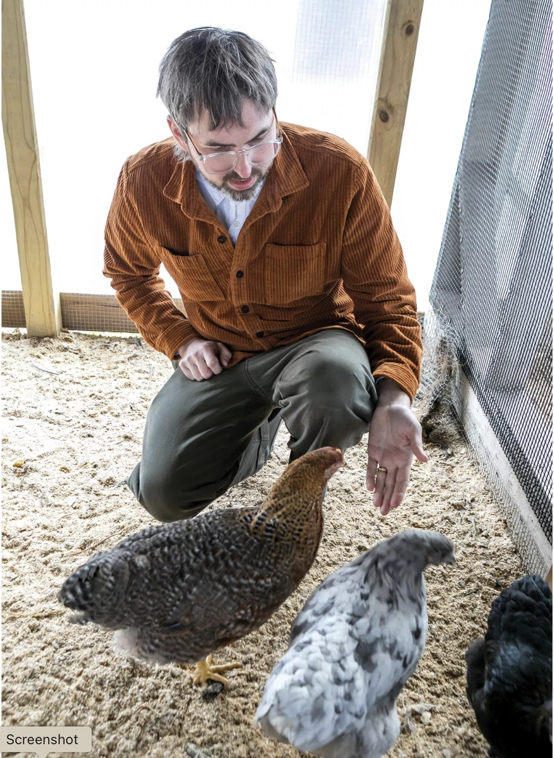 Chicken Math