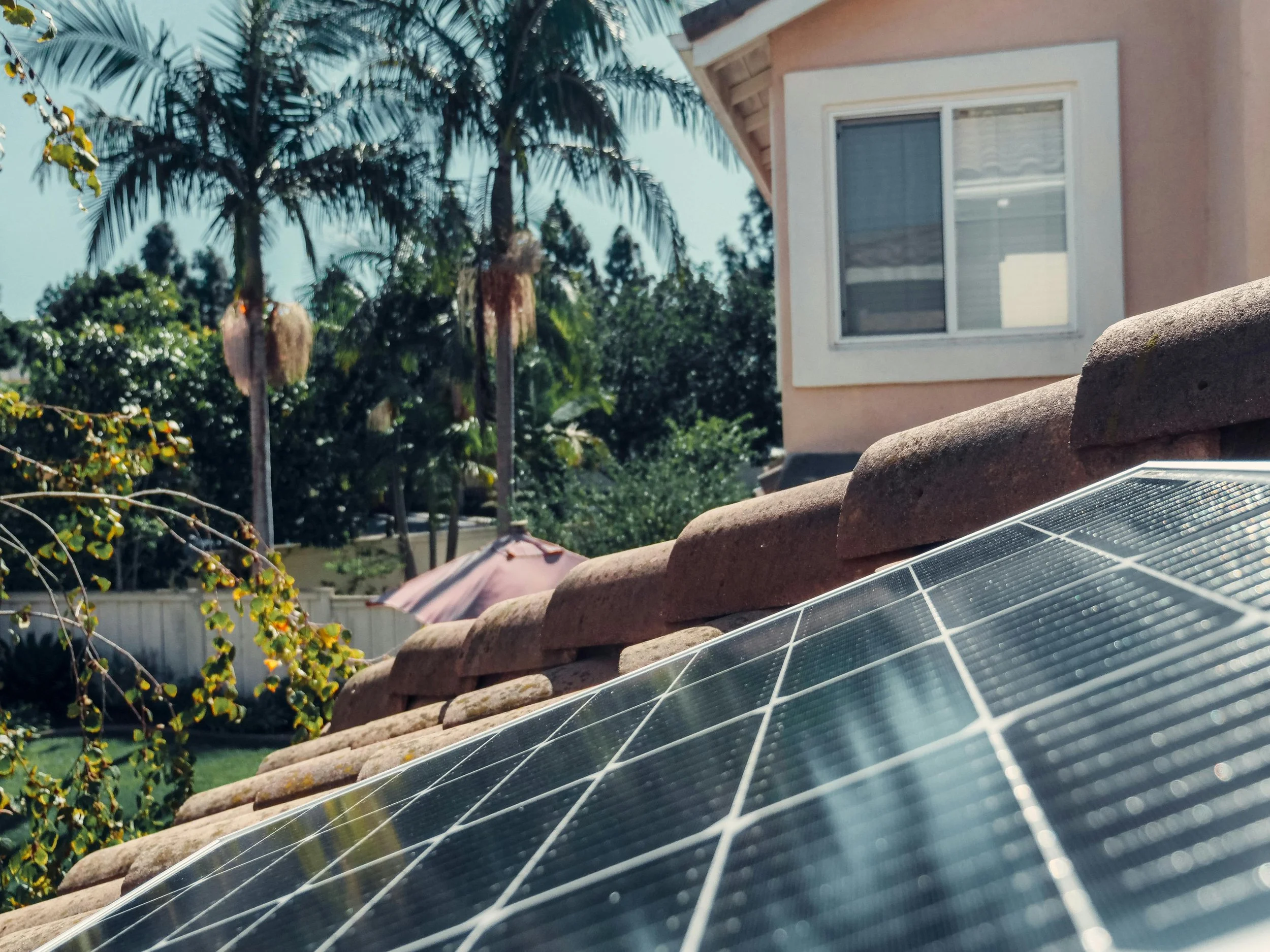 A rooftop with solar panels, clay roof tiles, and some plants or trees in the background, including palm trees and a patio umbrella.