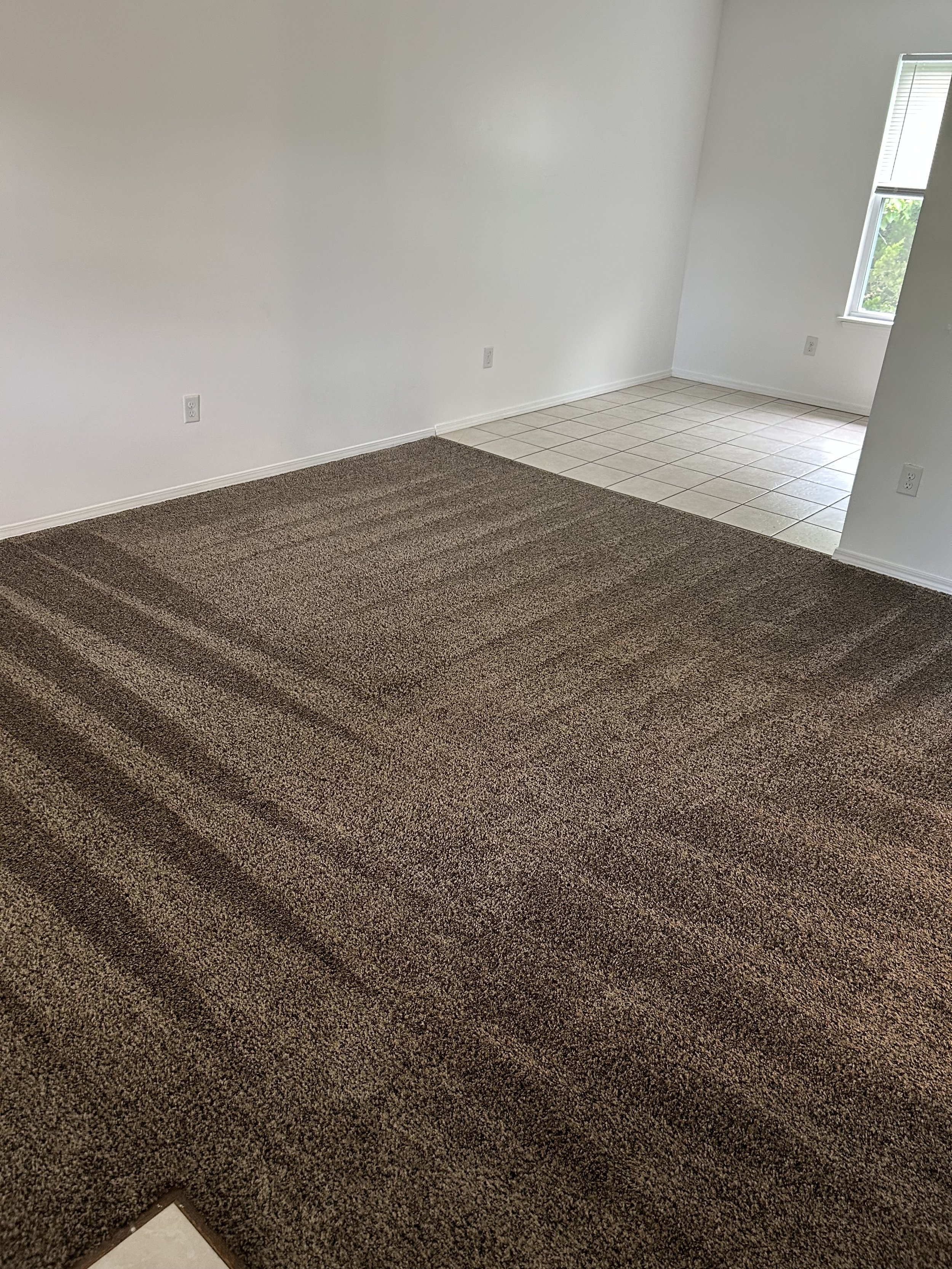 Turn Over & Carpet Cleaning