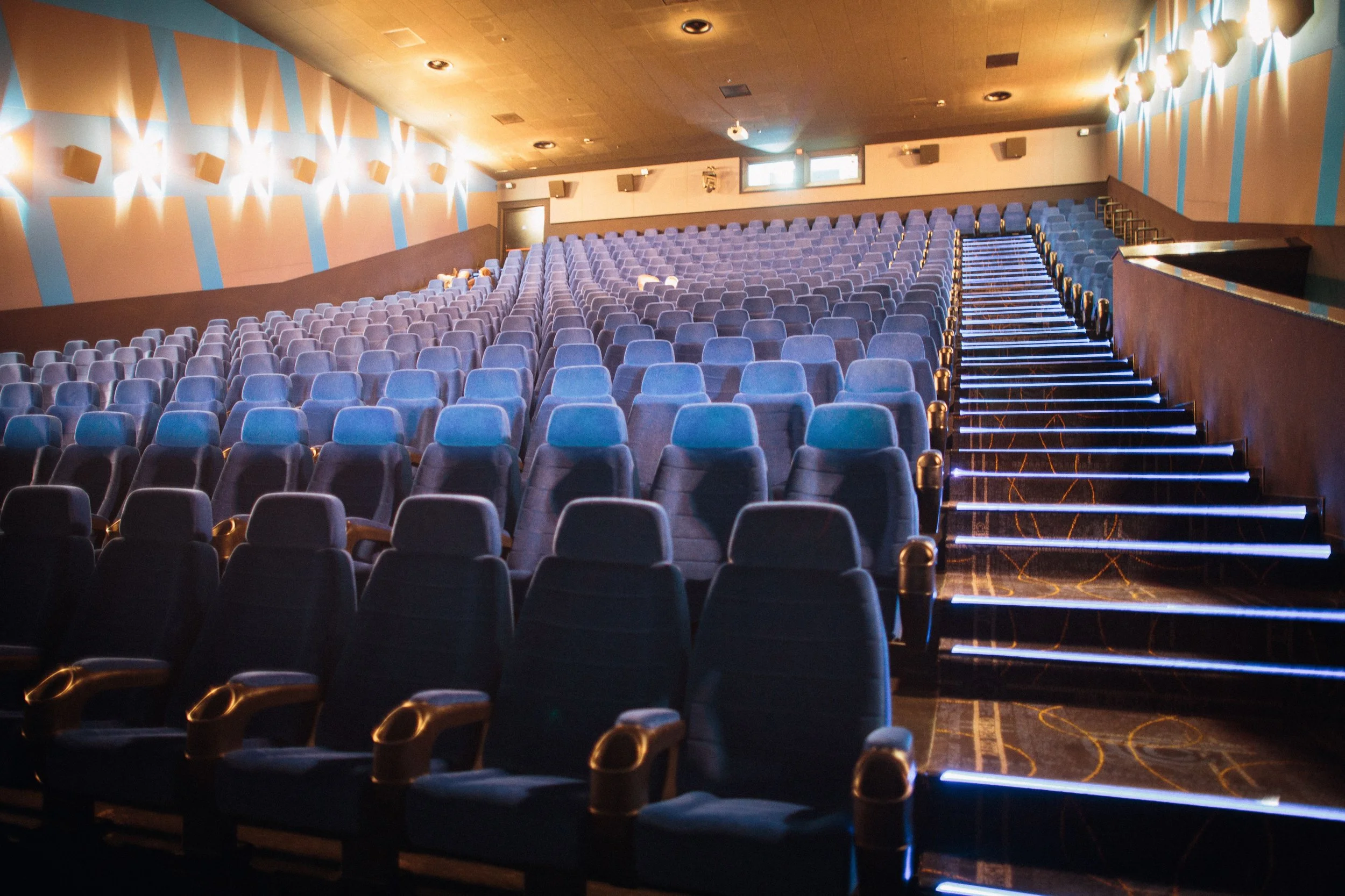 Theater Cleaning & Regular Carpet Spotting 