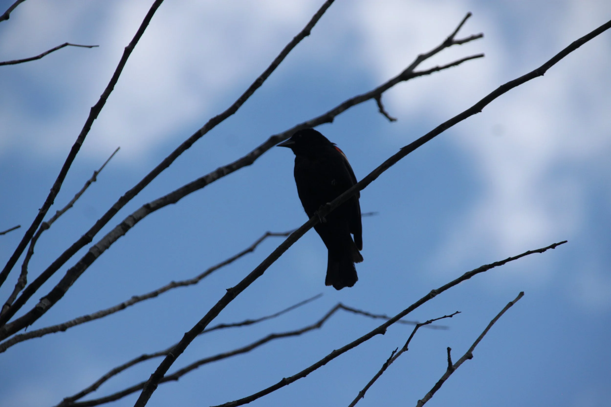IMG_7129.JPG