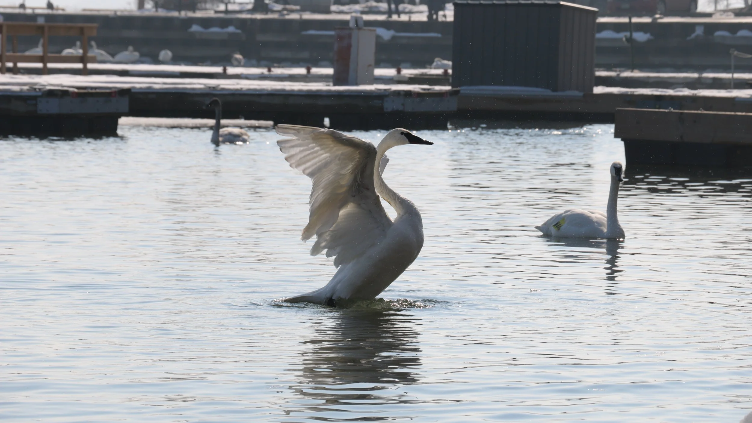 IMG_0945.png