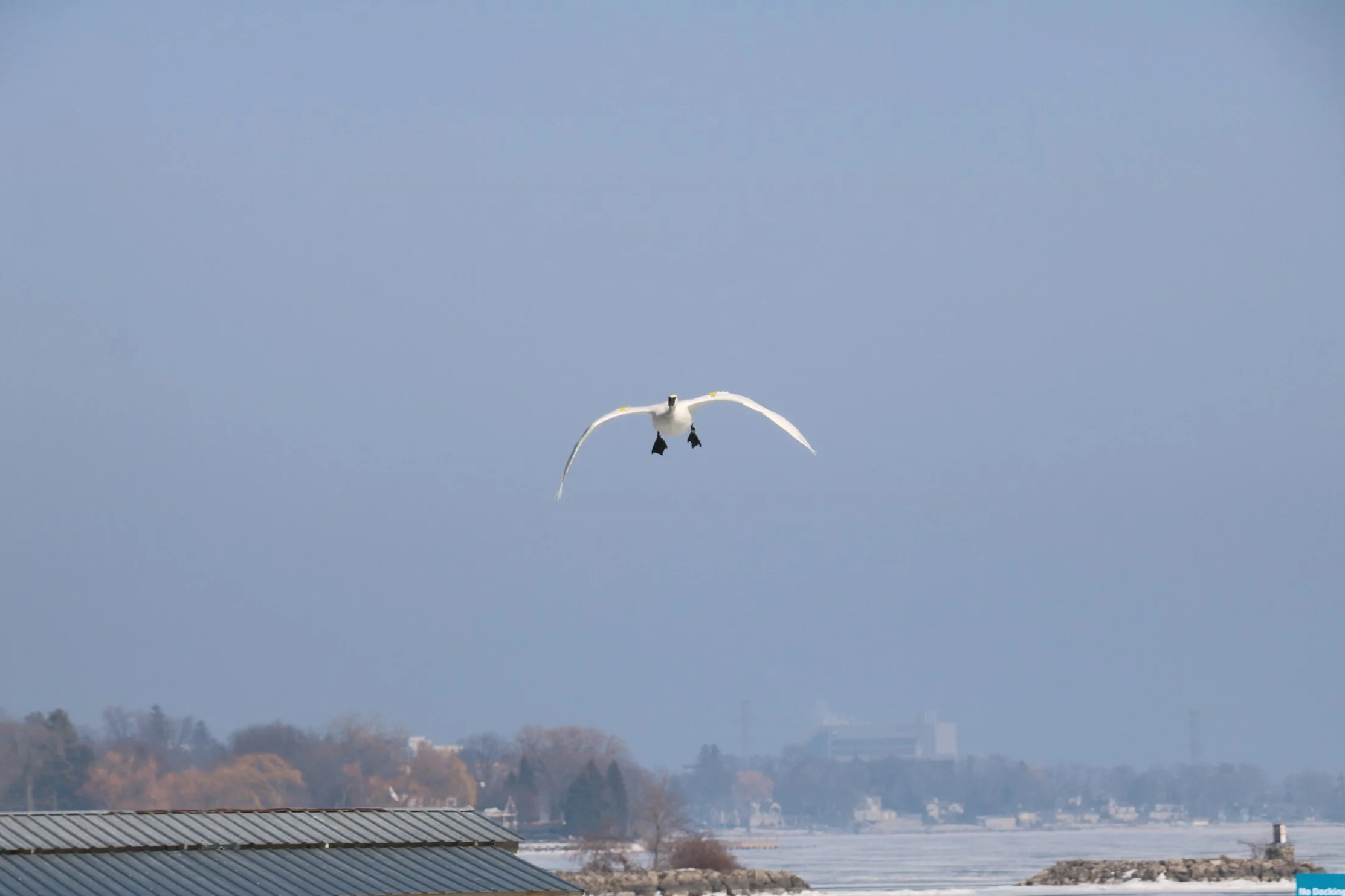 IMG_0998.png