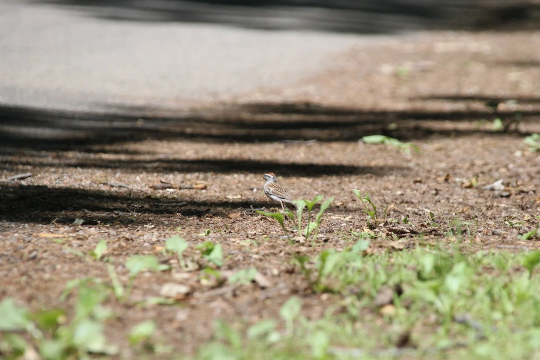 IMG_8218.png