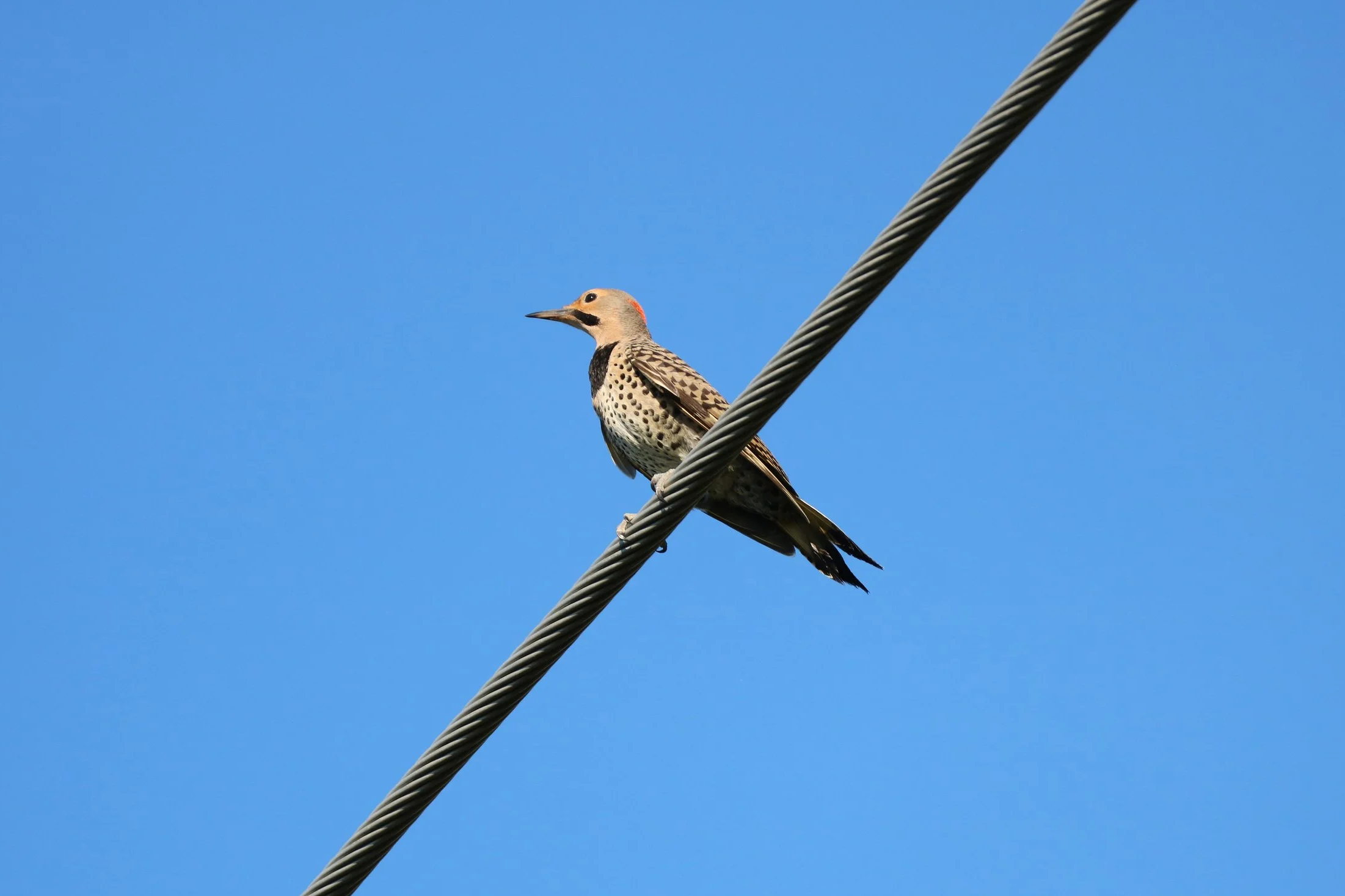 Waterloo, ON, 2026-07-14