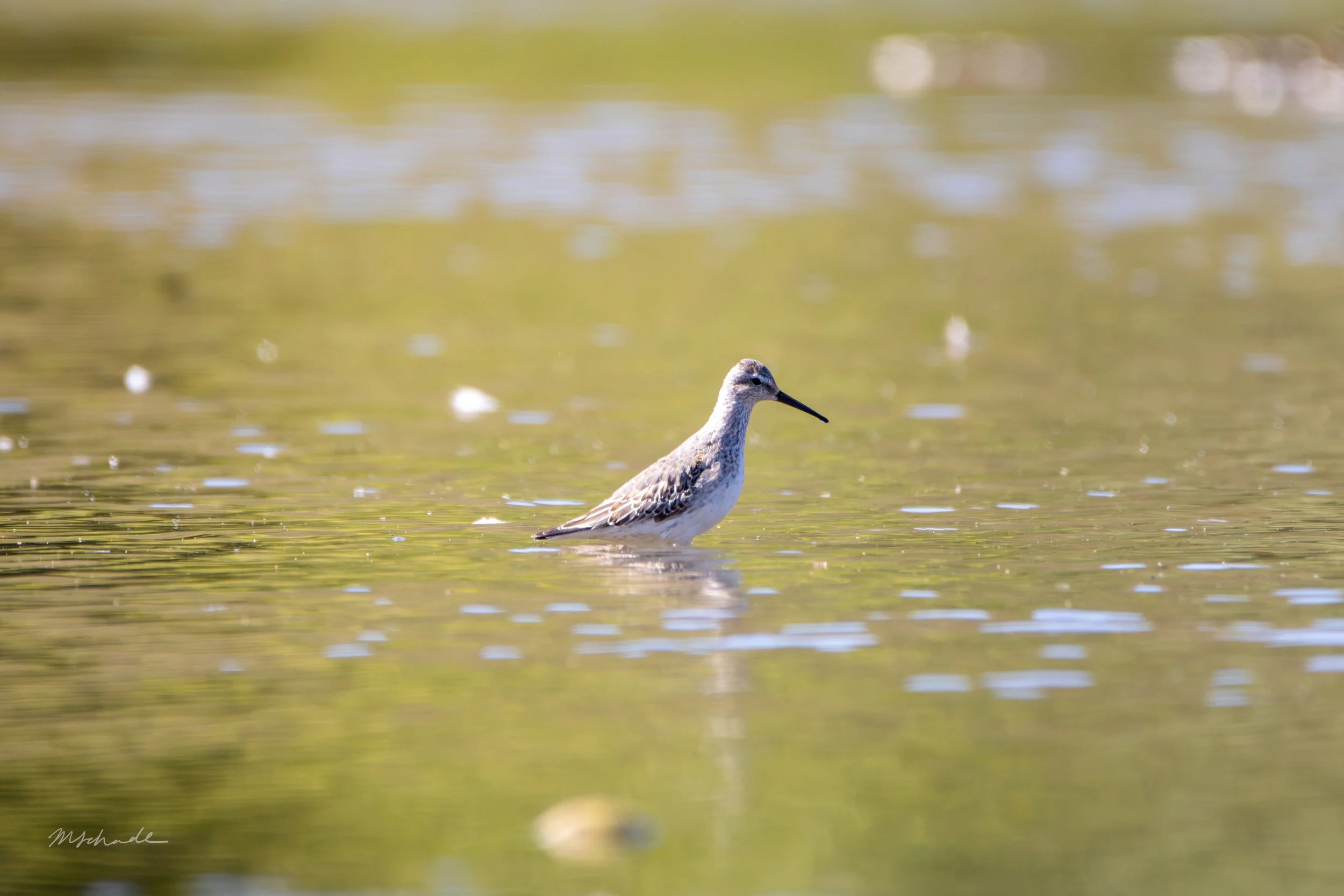 New Hamburg, ON, 2026-09-27