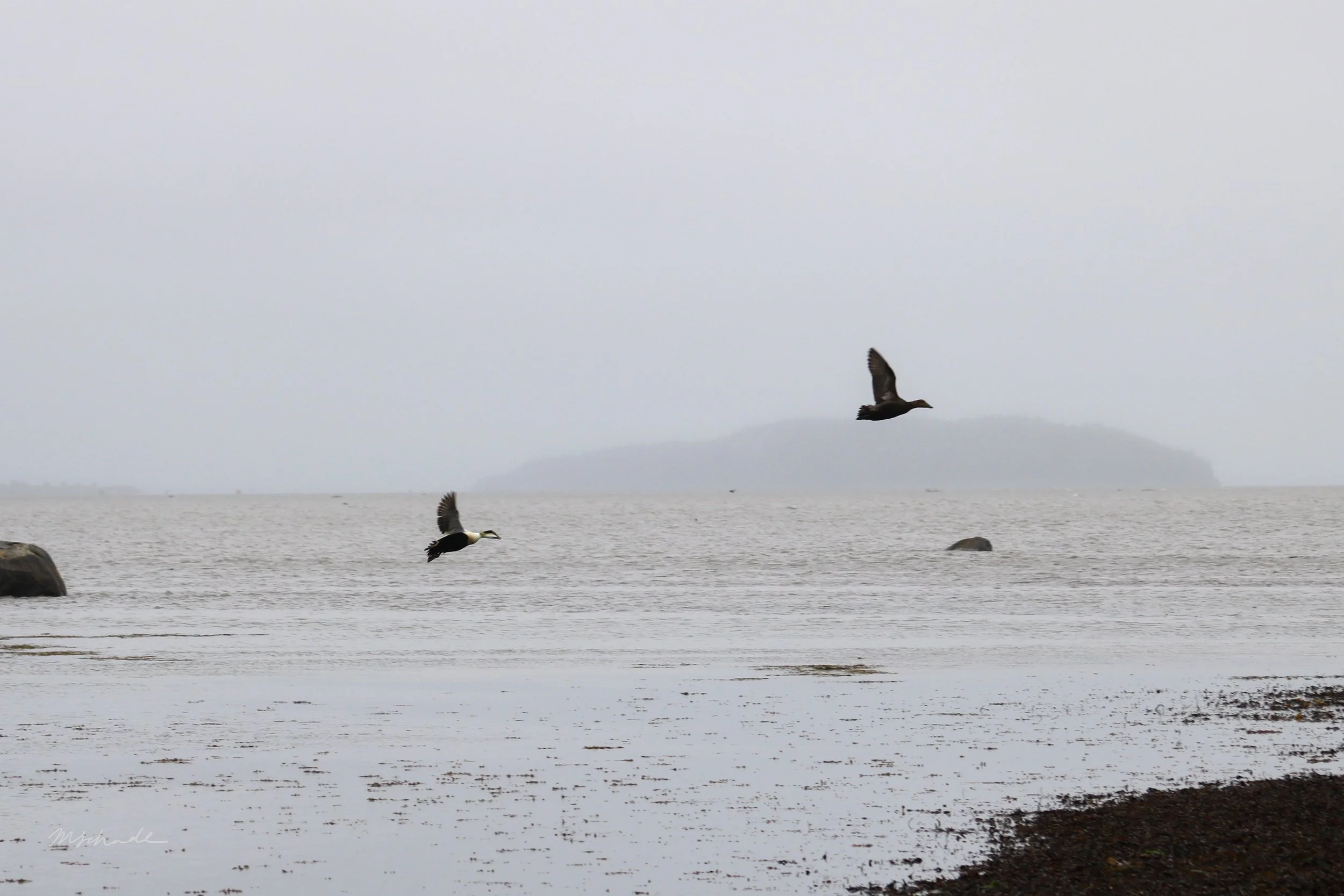 Rimouski, QC, 2026-05-28