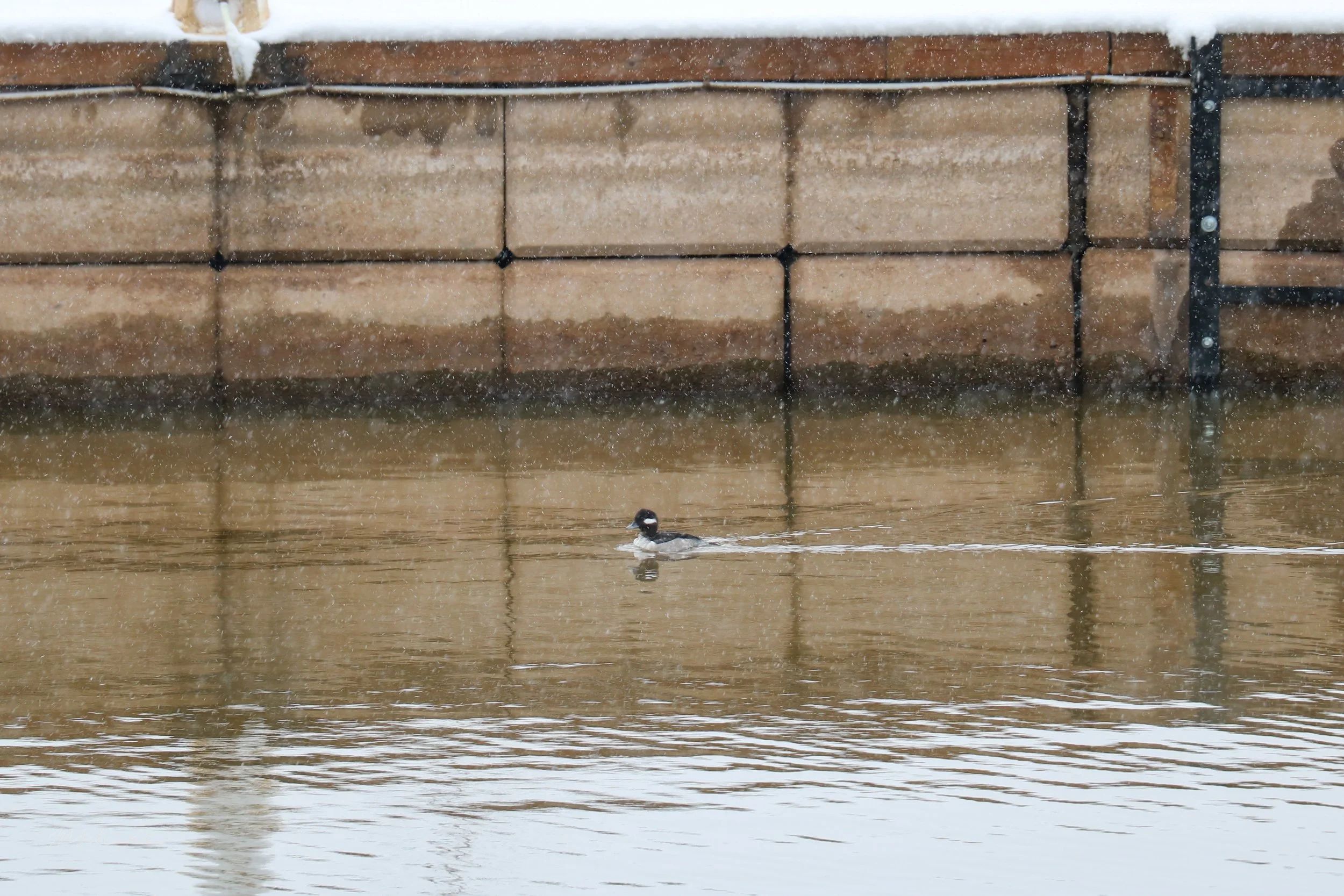 Bronte, ON, 2020-12-01