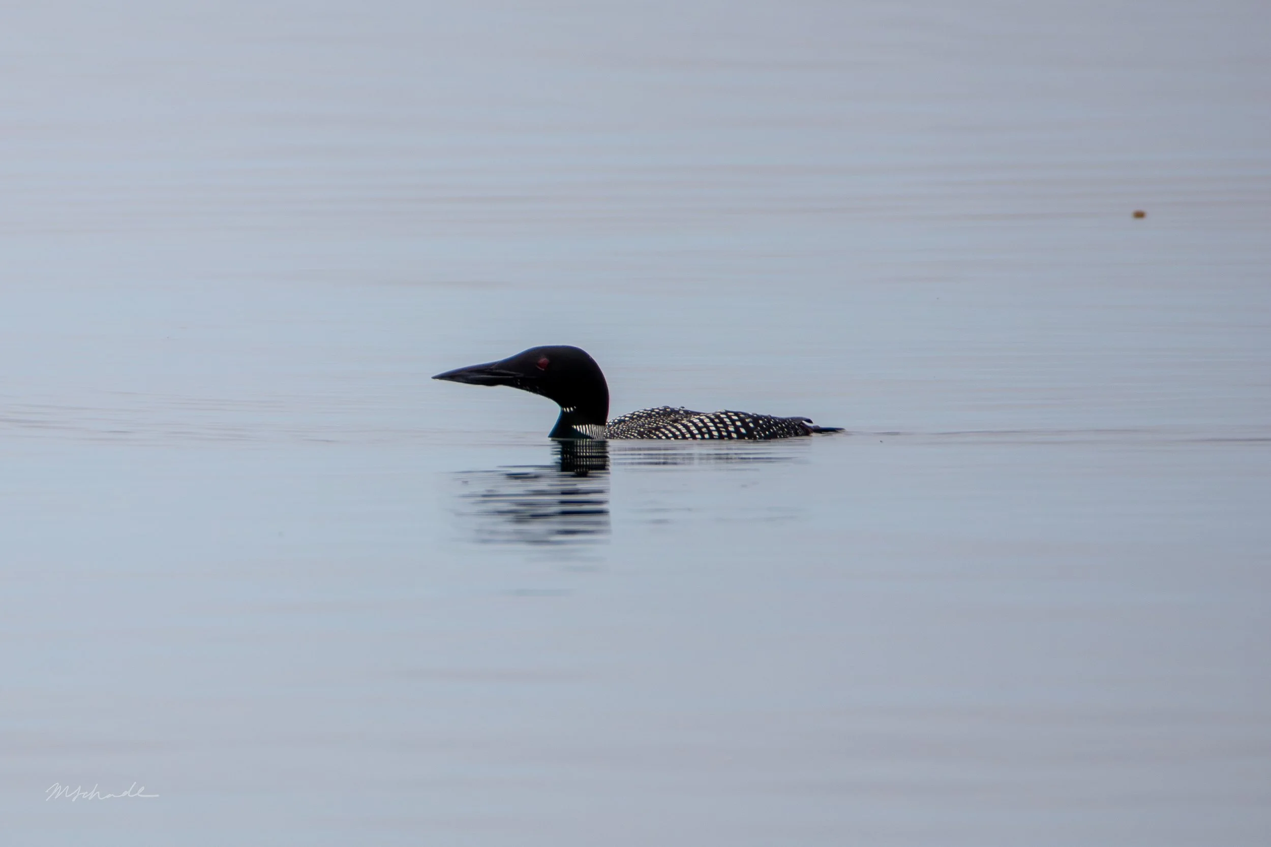 Gros Morne NP, NL, 2026-08-07