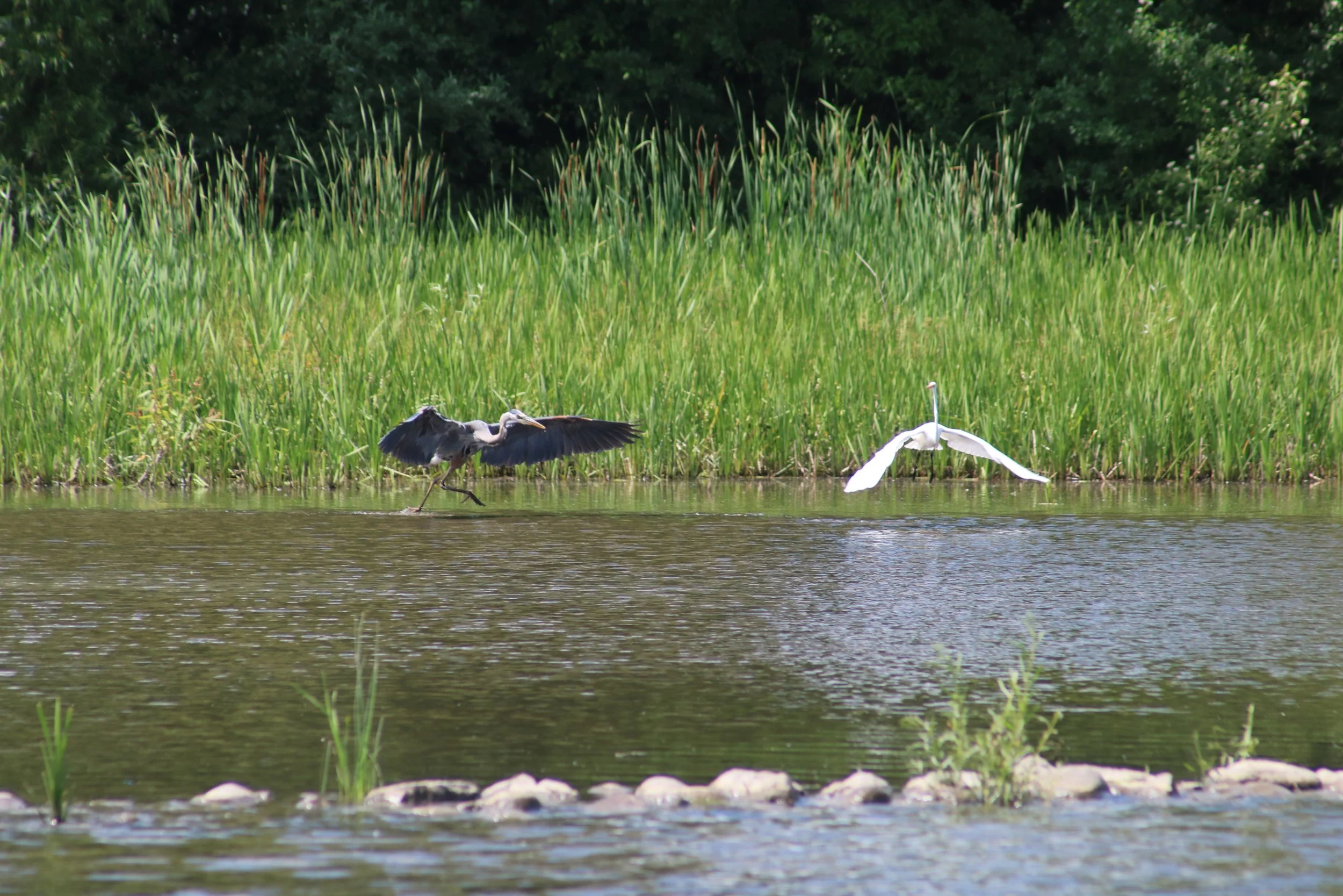 IMG_4680.JPG