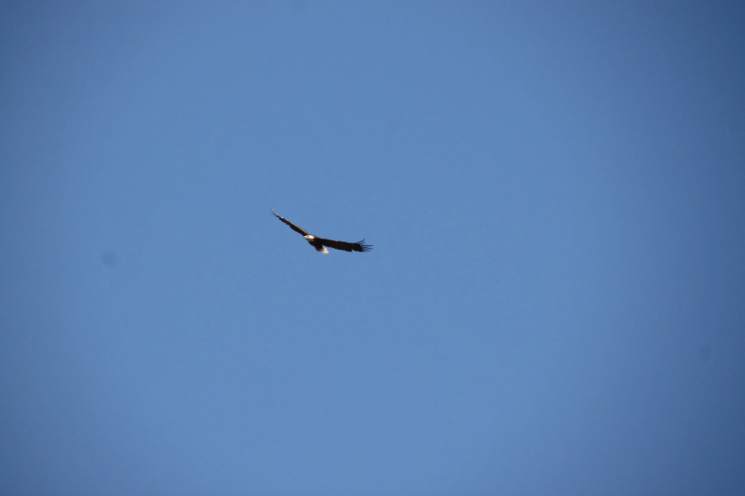 IMG_8128.JPG