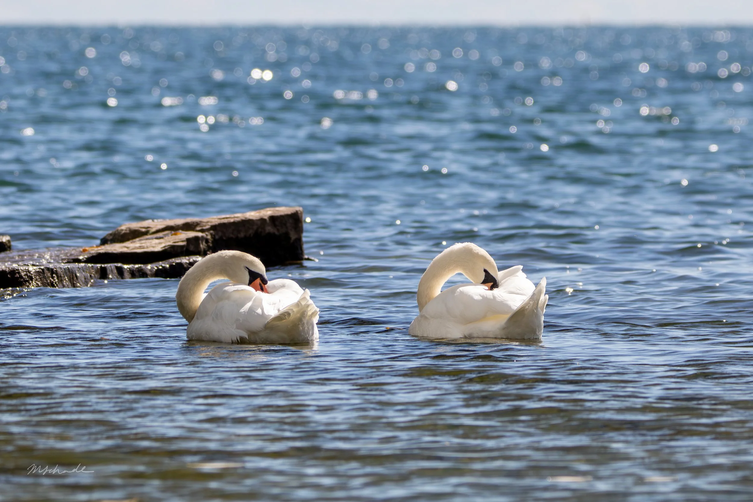 Bronte, ON, 2026-09-14
