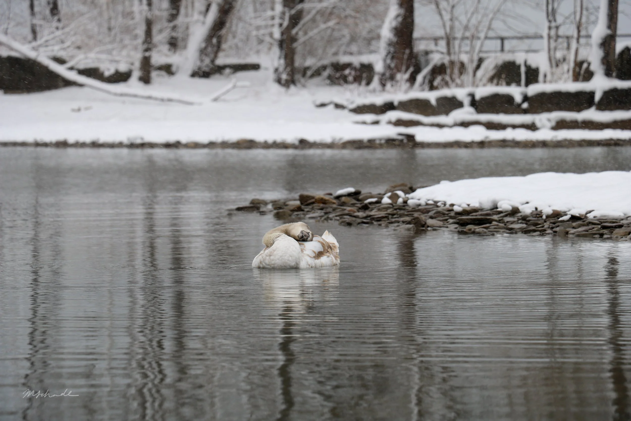 Bronte, ON, 2020-12-01
