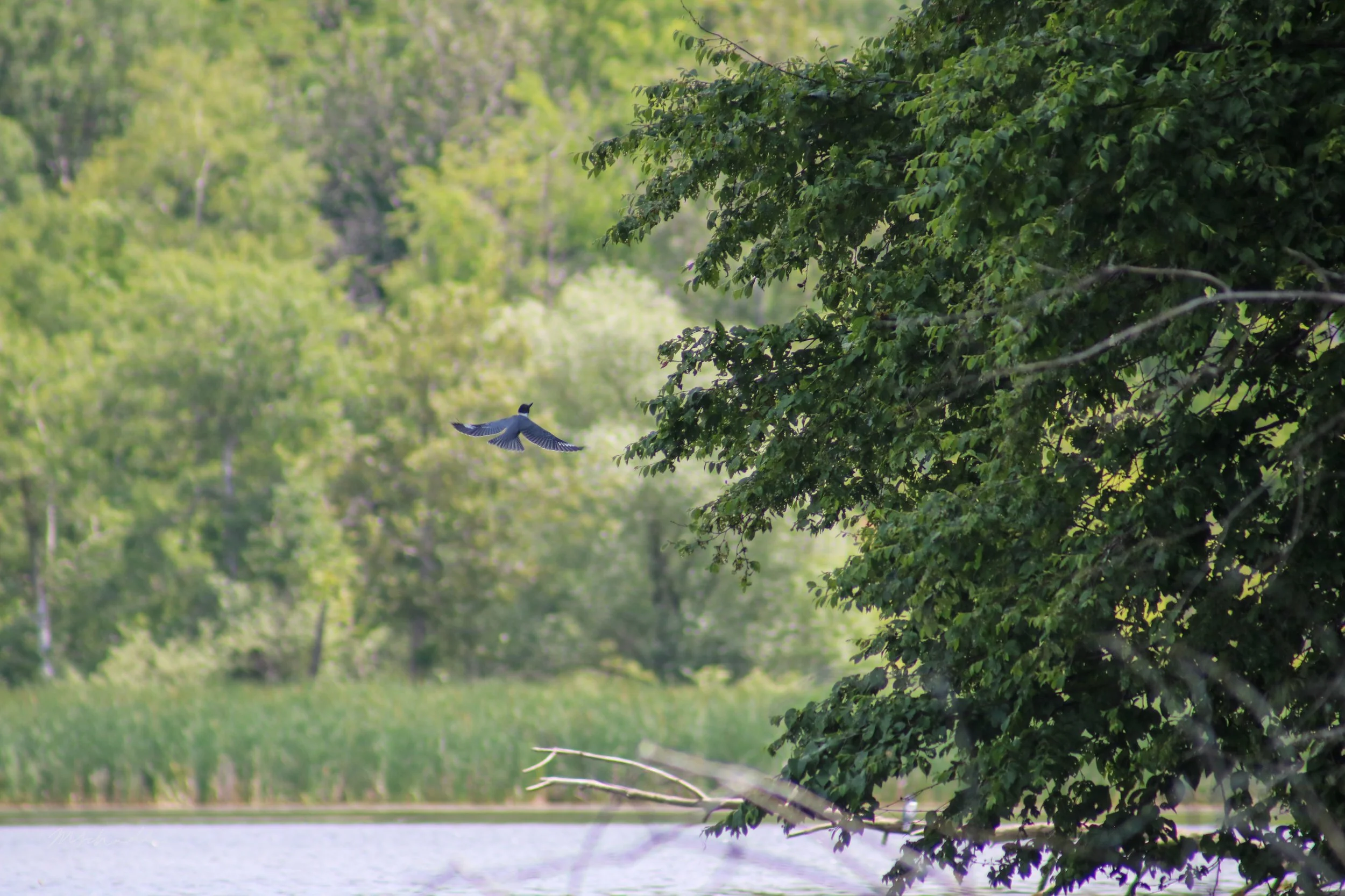 Waterloo, ON, 2026-06-27