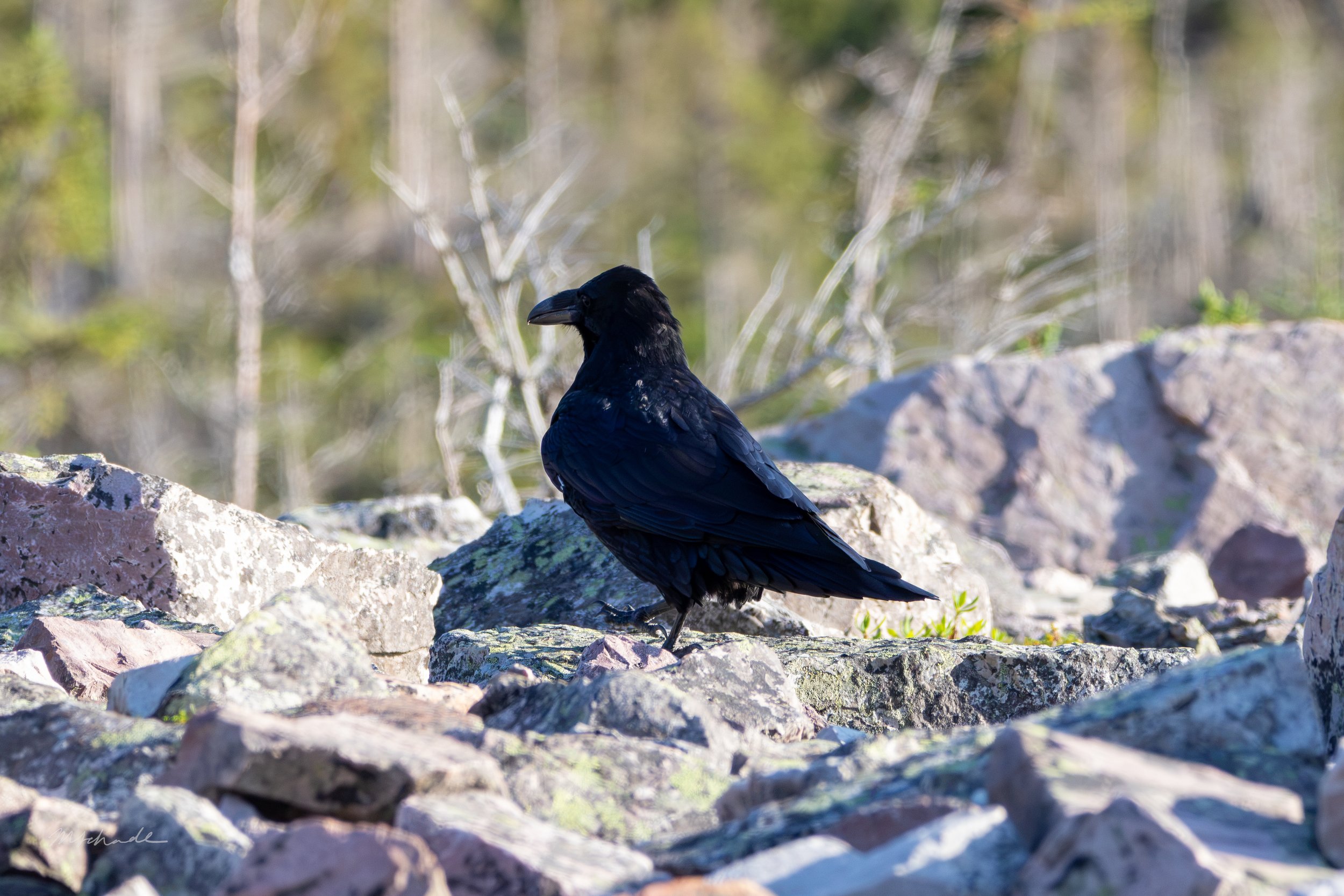 Gros Morne National Park, NL, 2026-08-13