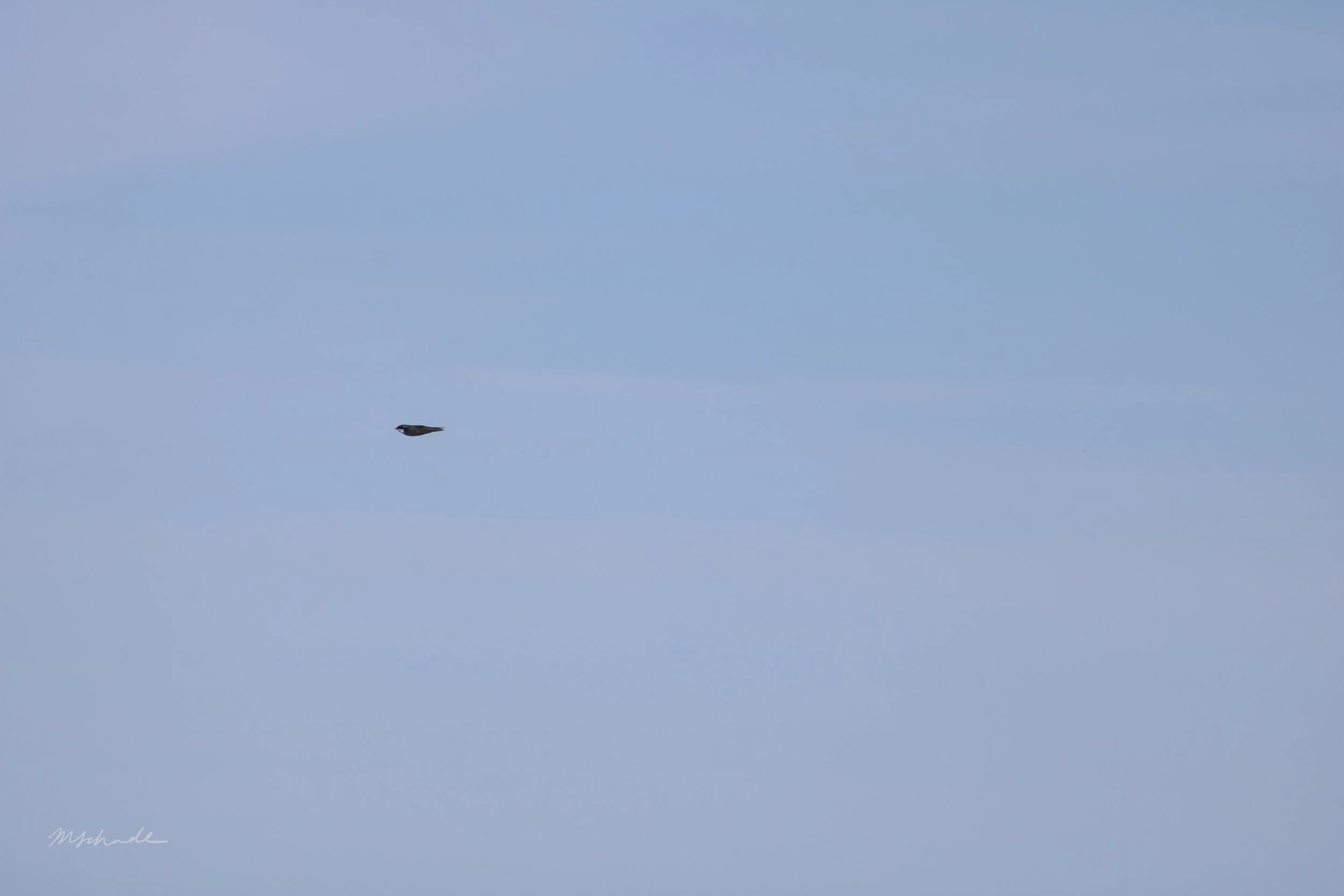 Rimouski, QC, 2026-05-24