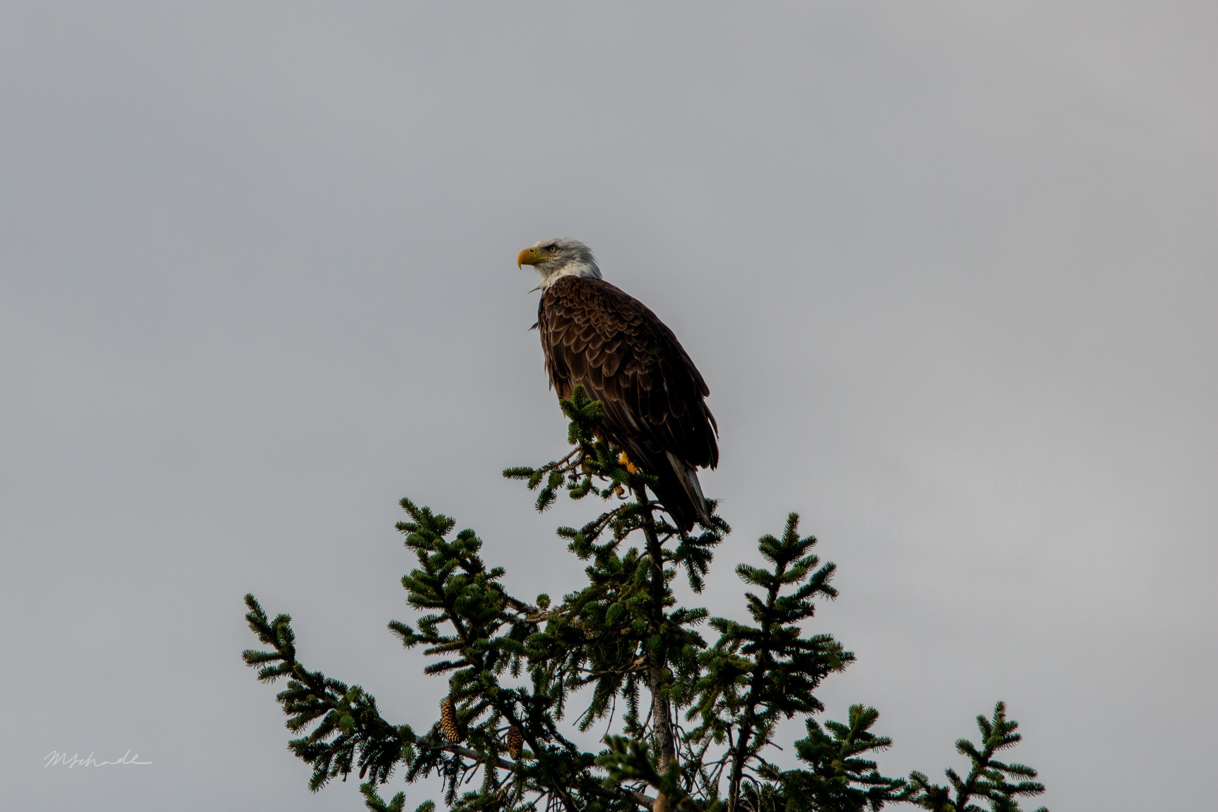 Bronte, ON, 2026-08-19