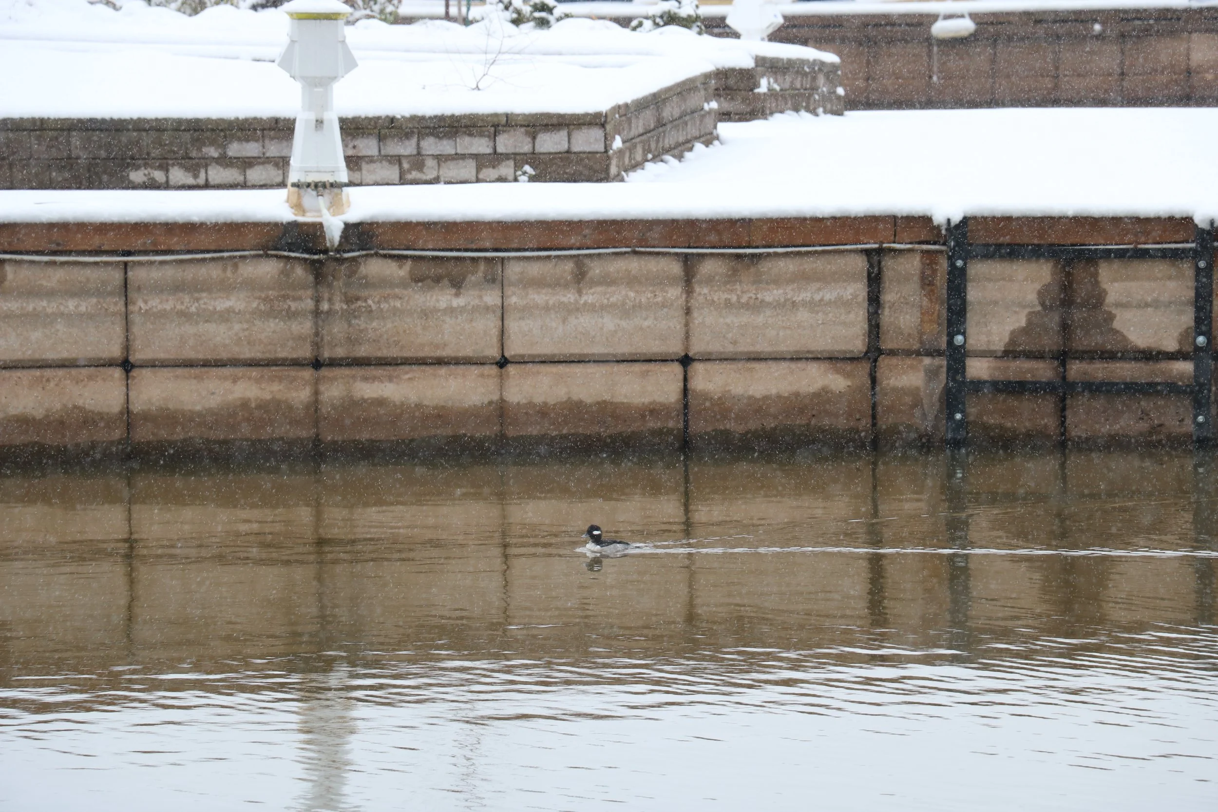Bronte, ON, 2020-12-01