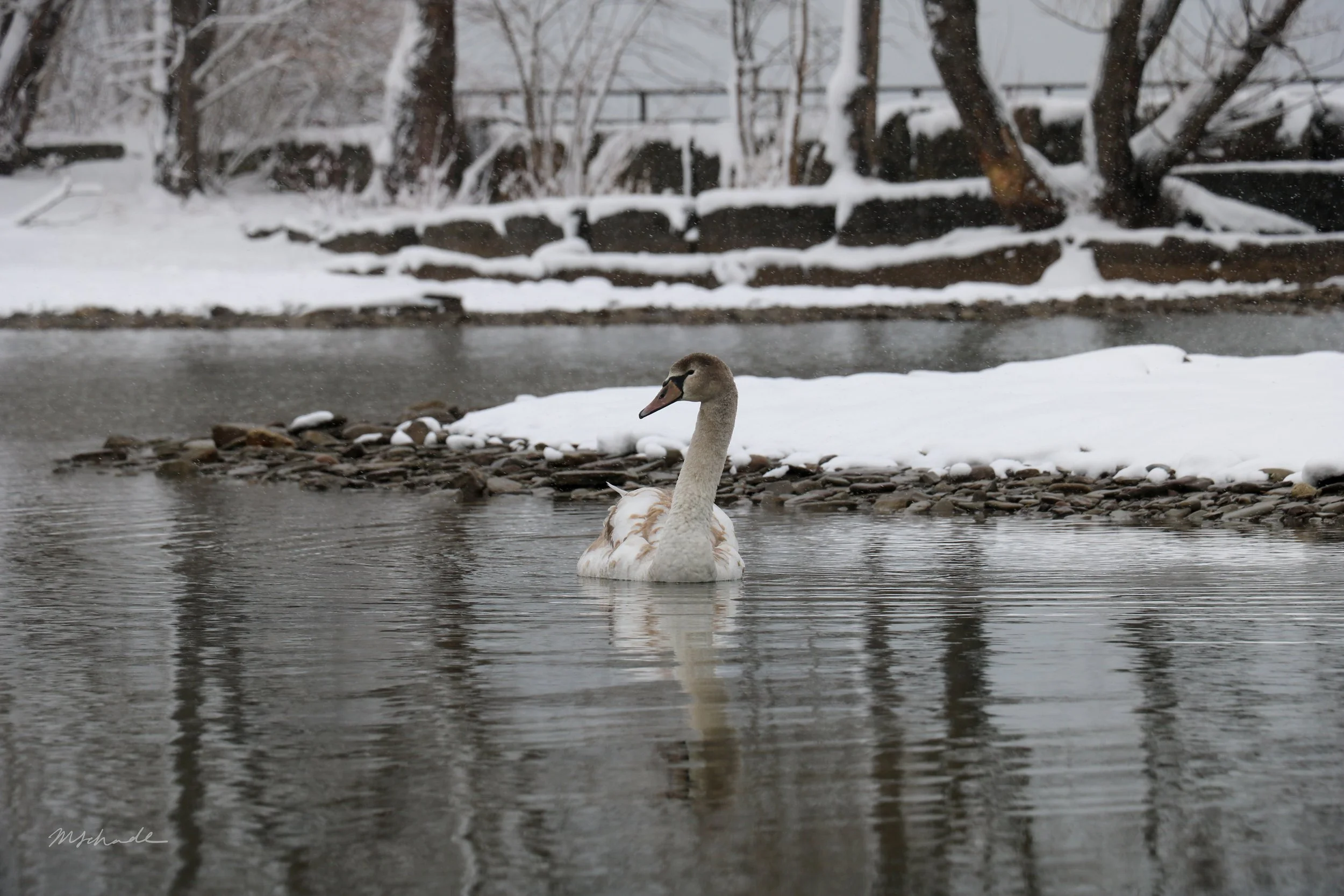 Bronte, ON, 2020-12-01