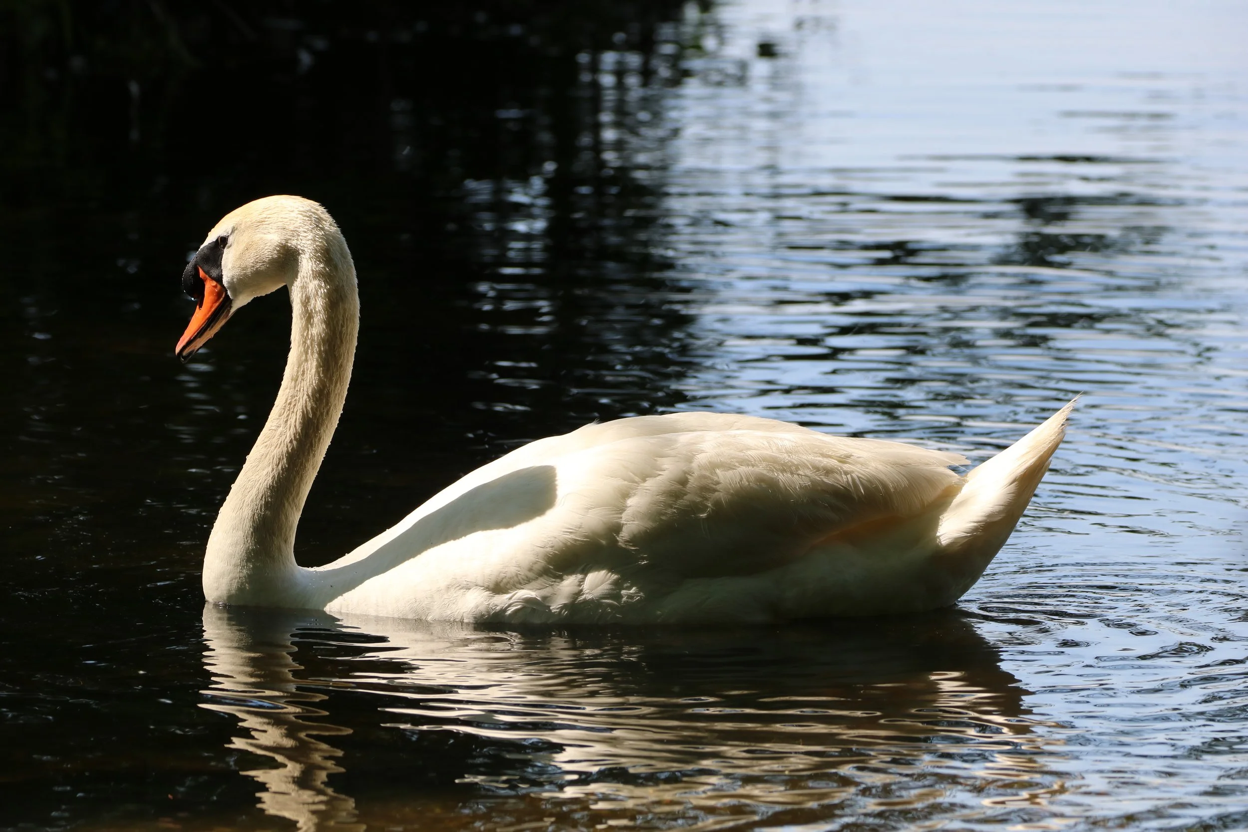 Burlington, ON, 2026-07-12