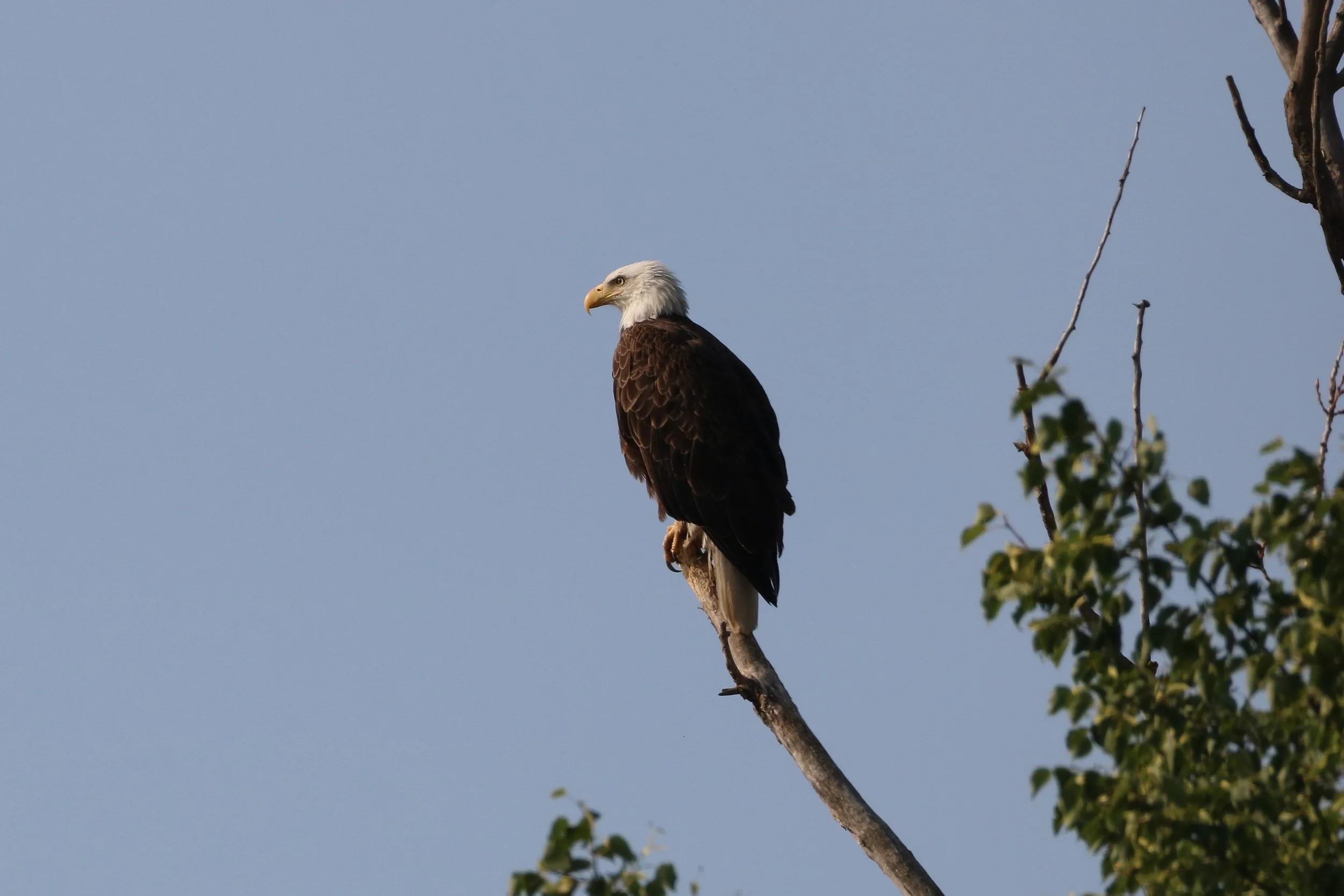 Waterloo, ON, 2026-07-20
