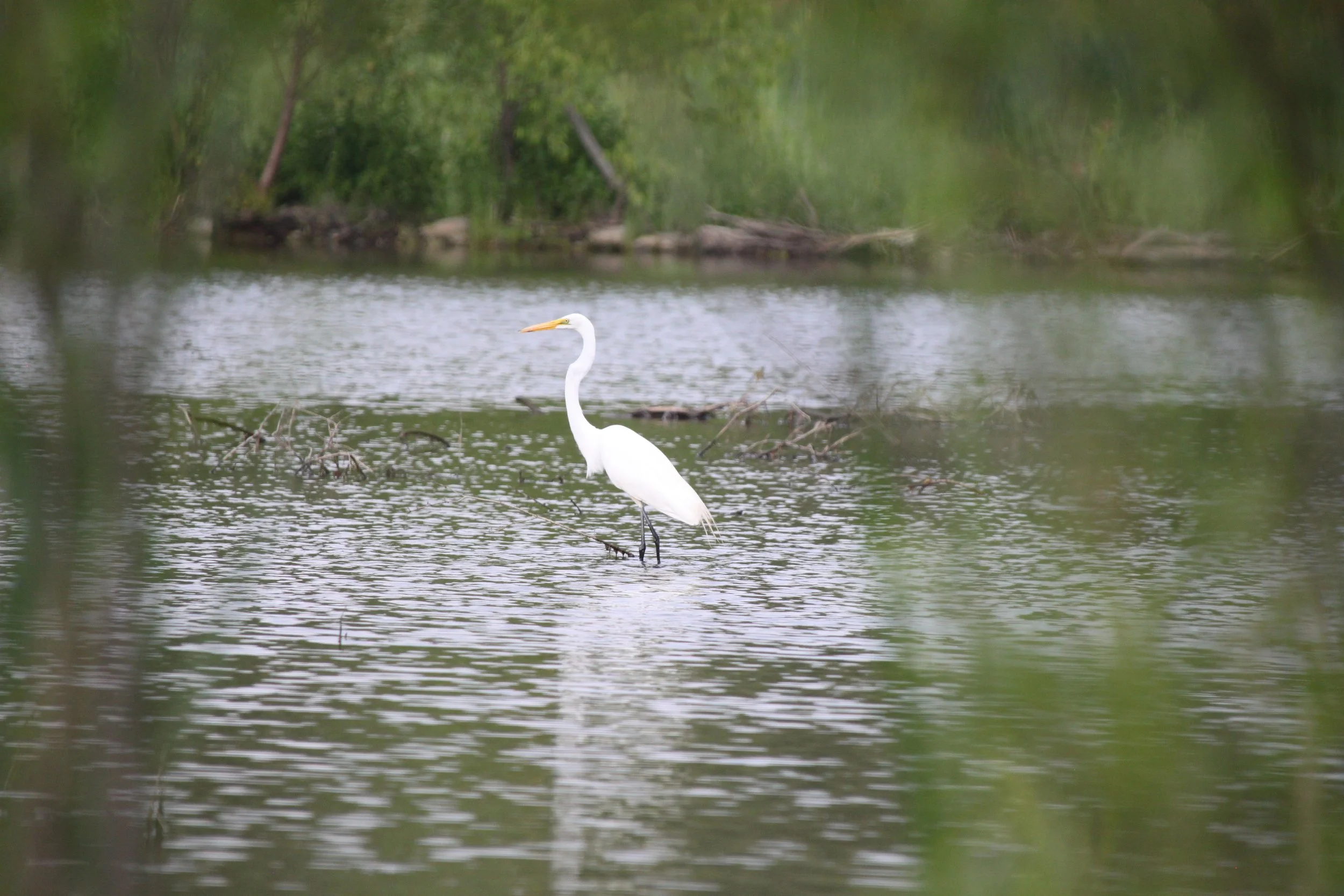 IMG_7891.JPG