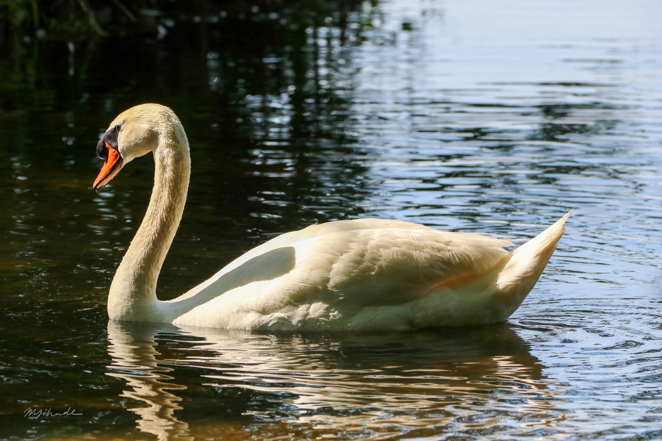 Burlington, ON, 2026-07-12
