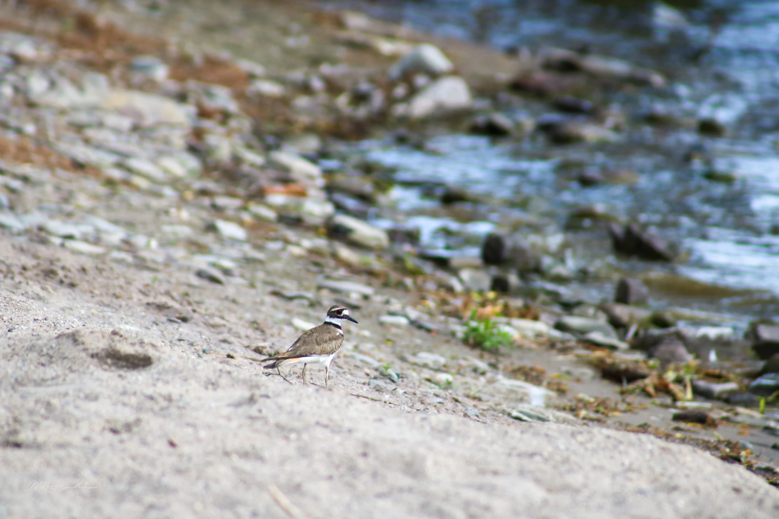 Bronte, ON, 2026-06-30