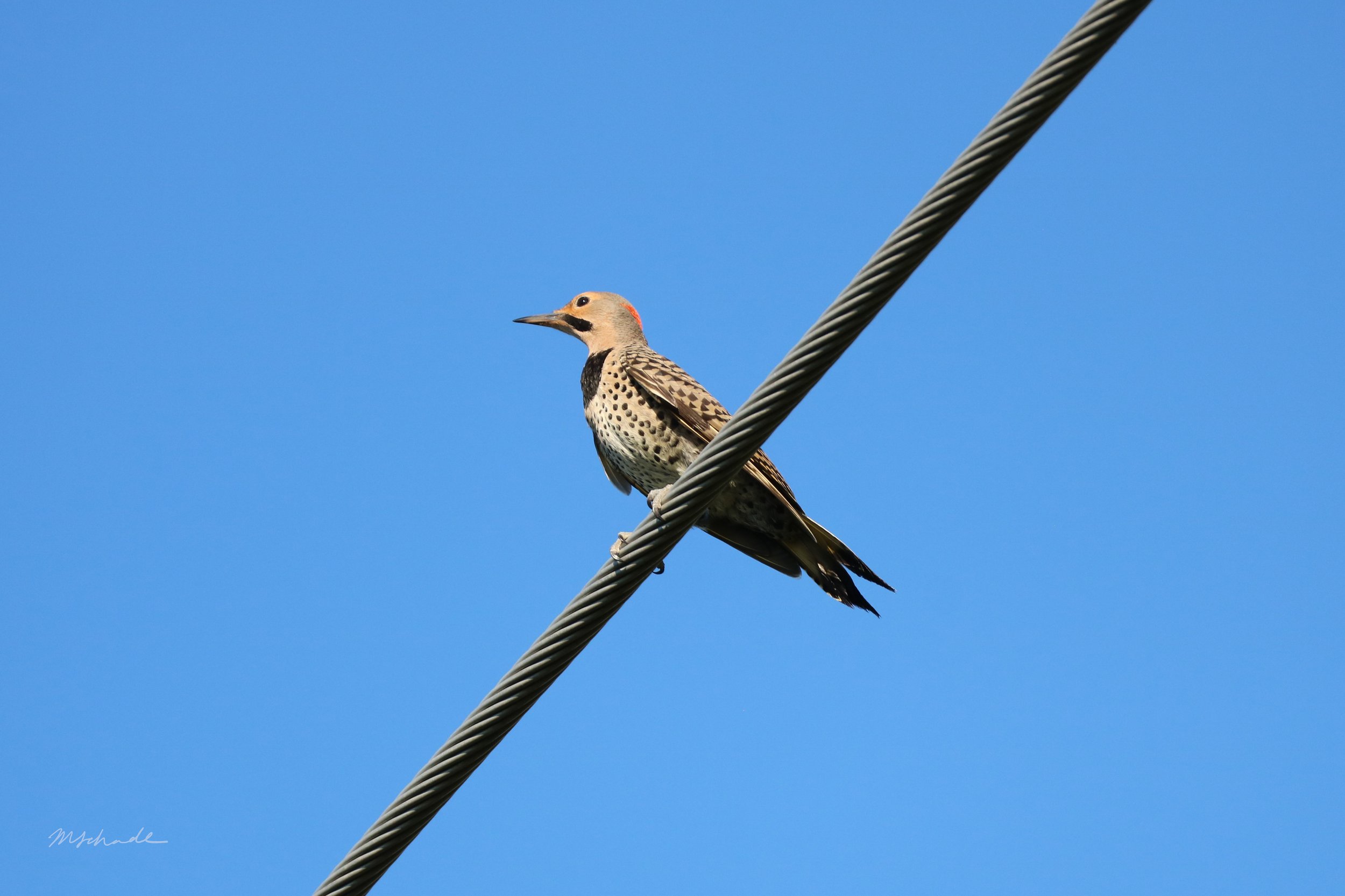 Waterloo, ON, 2026-07-14