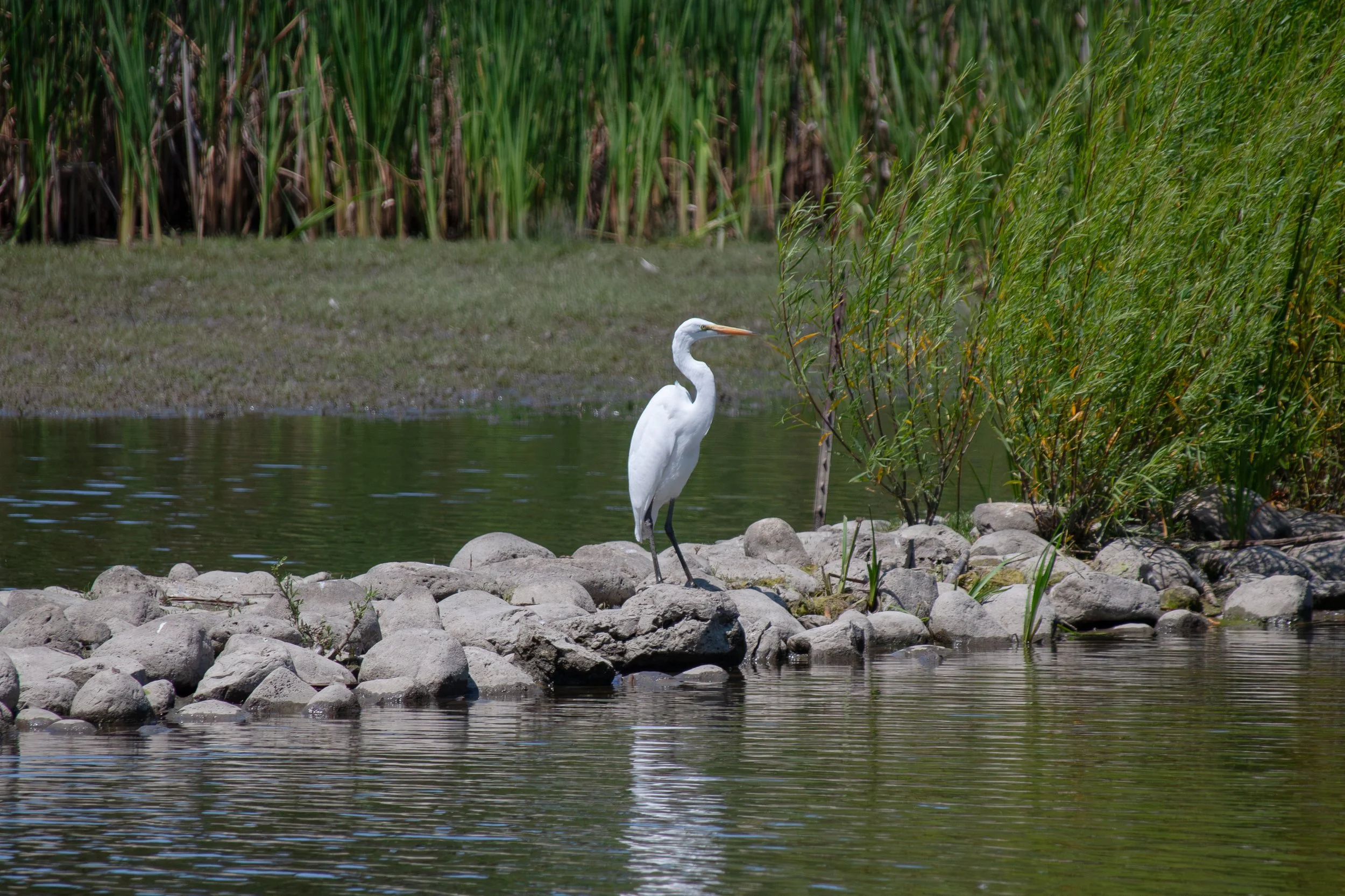 Waterloo, ON, 2026-07-29