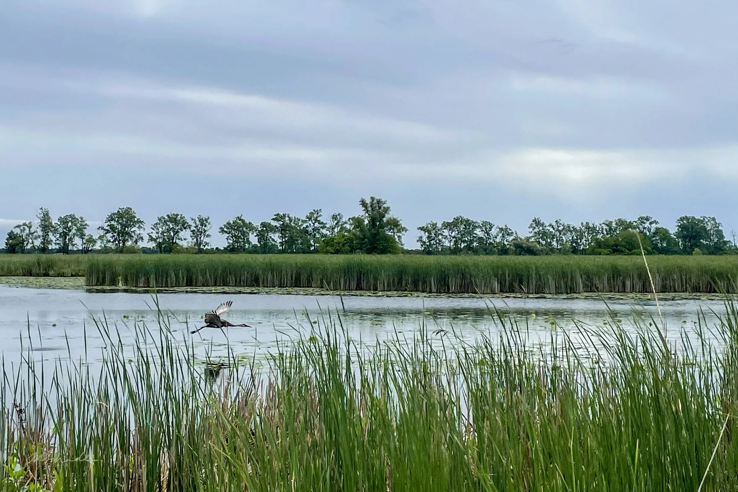 St. Clair, ON, 2026-07-03