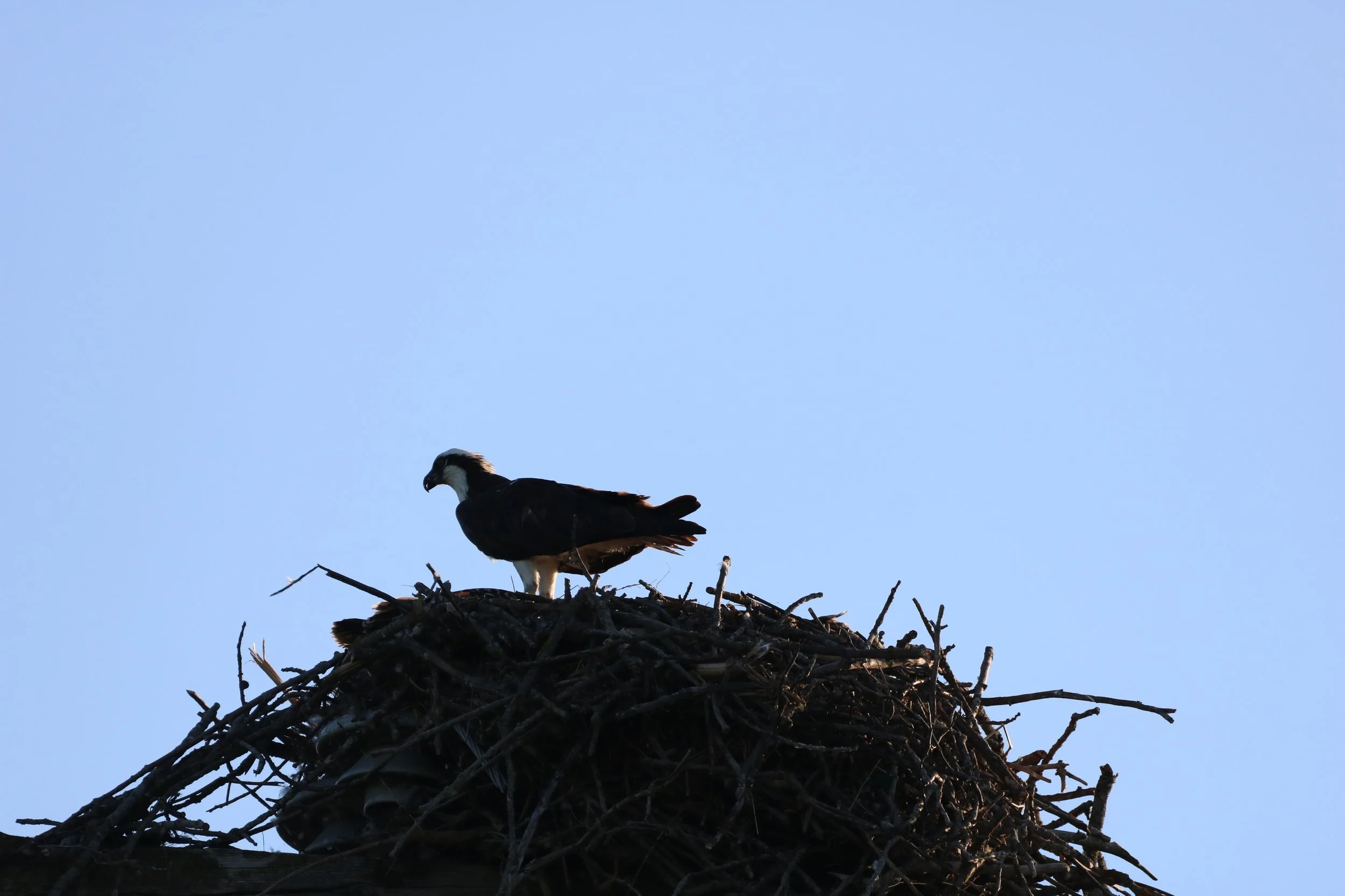 Synder's Flats, ON, 2026-07-14
